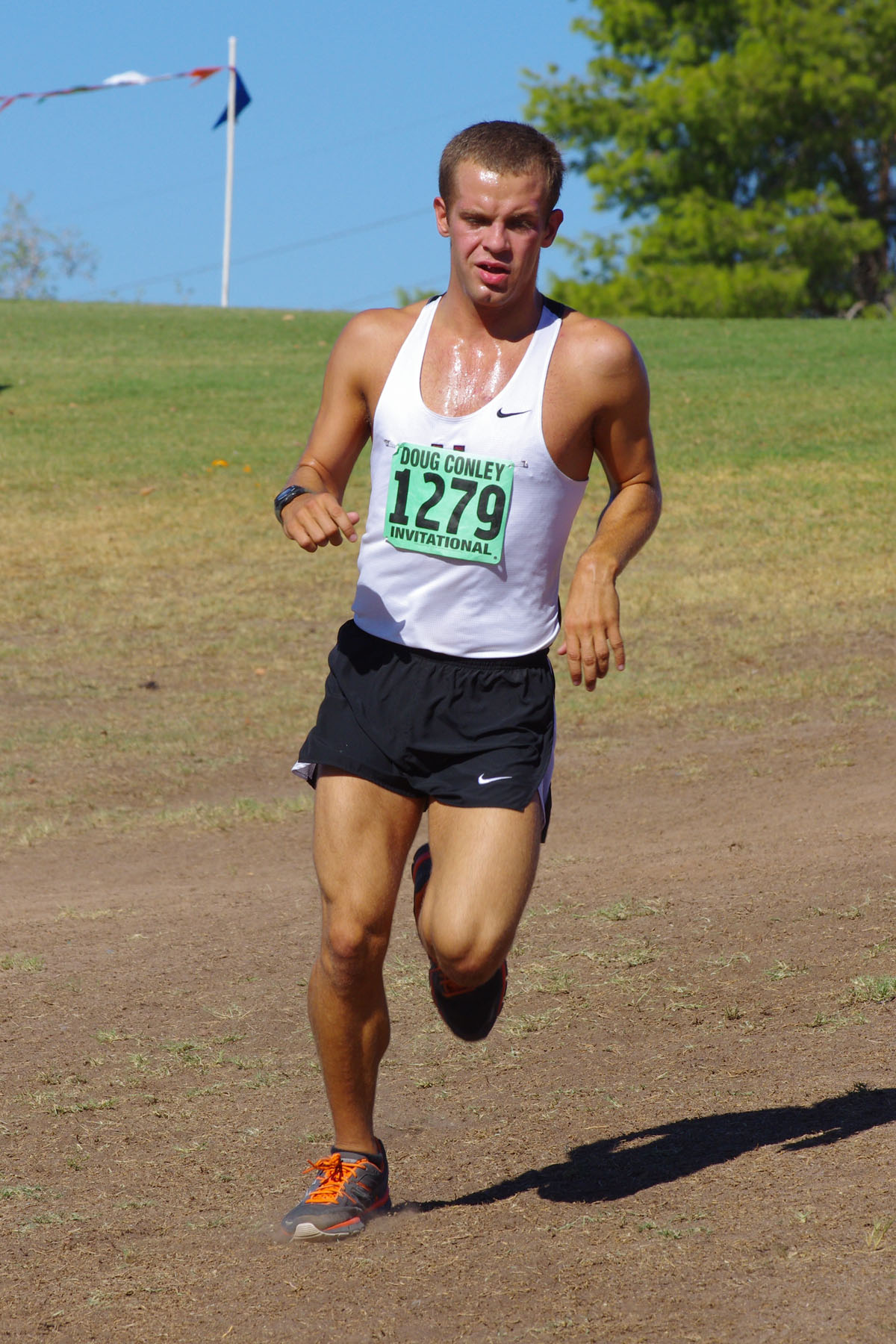 IMGP0730_C.jpg