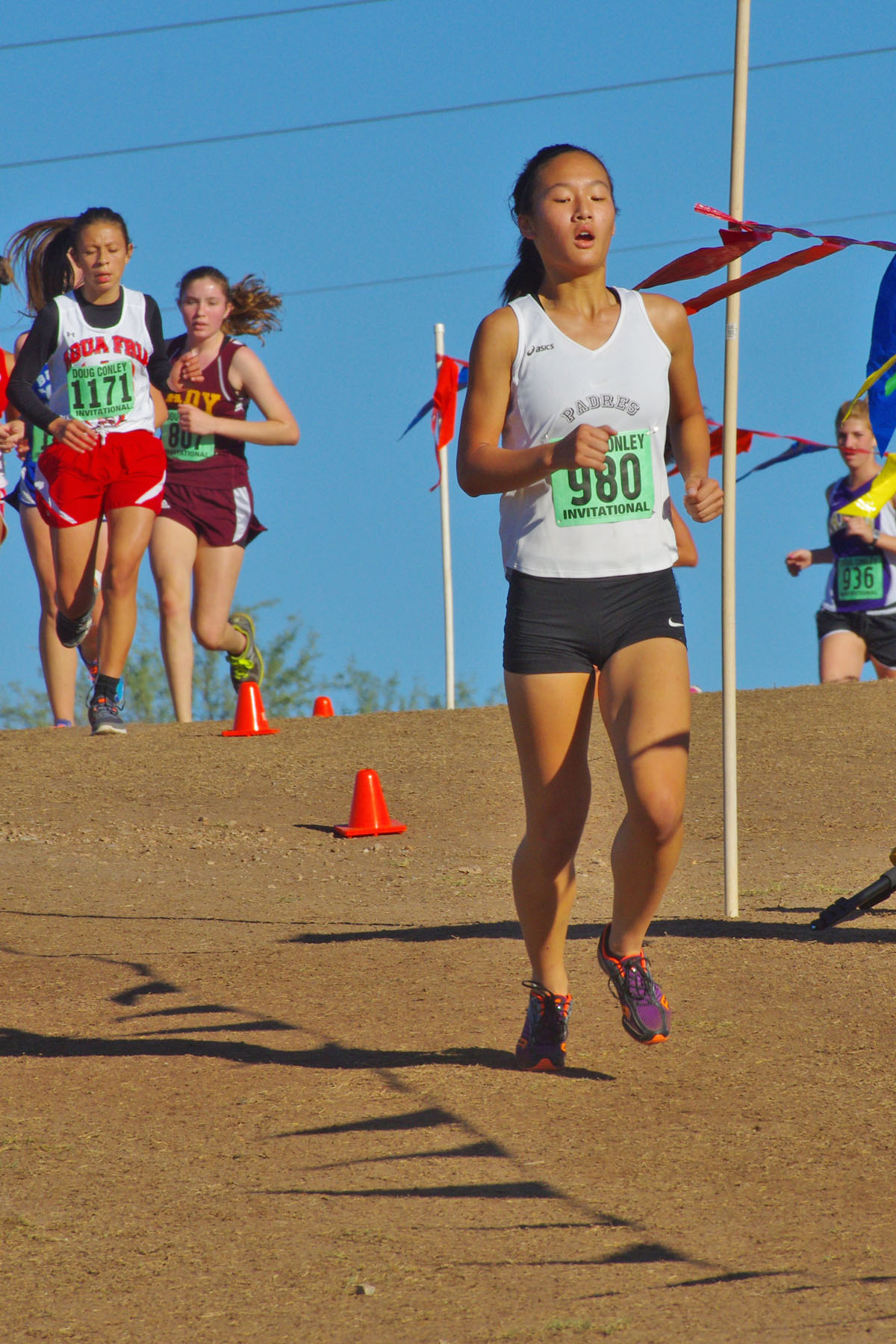 IMGP0589_CE.jpg