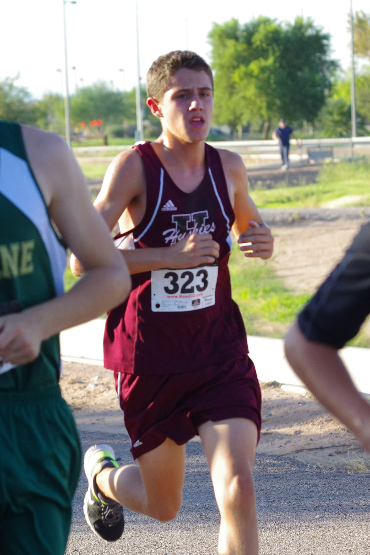 IMGP9734_C.jpg