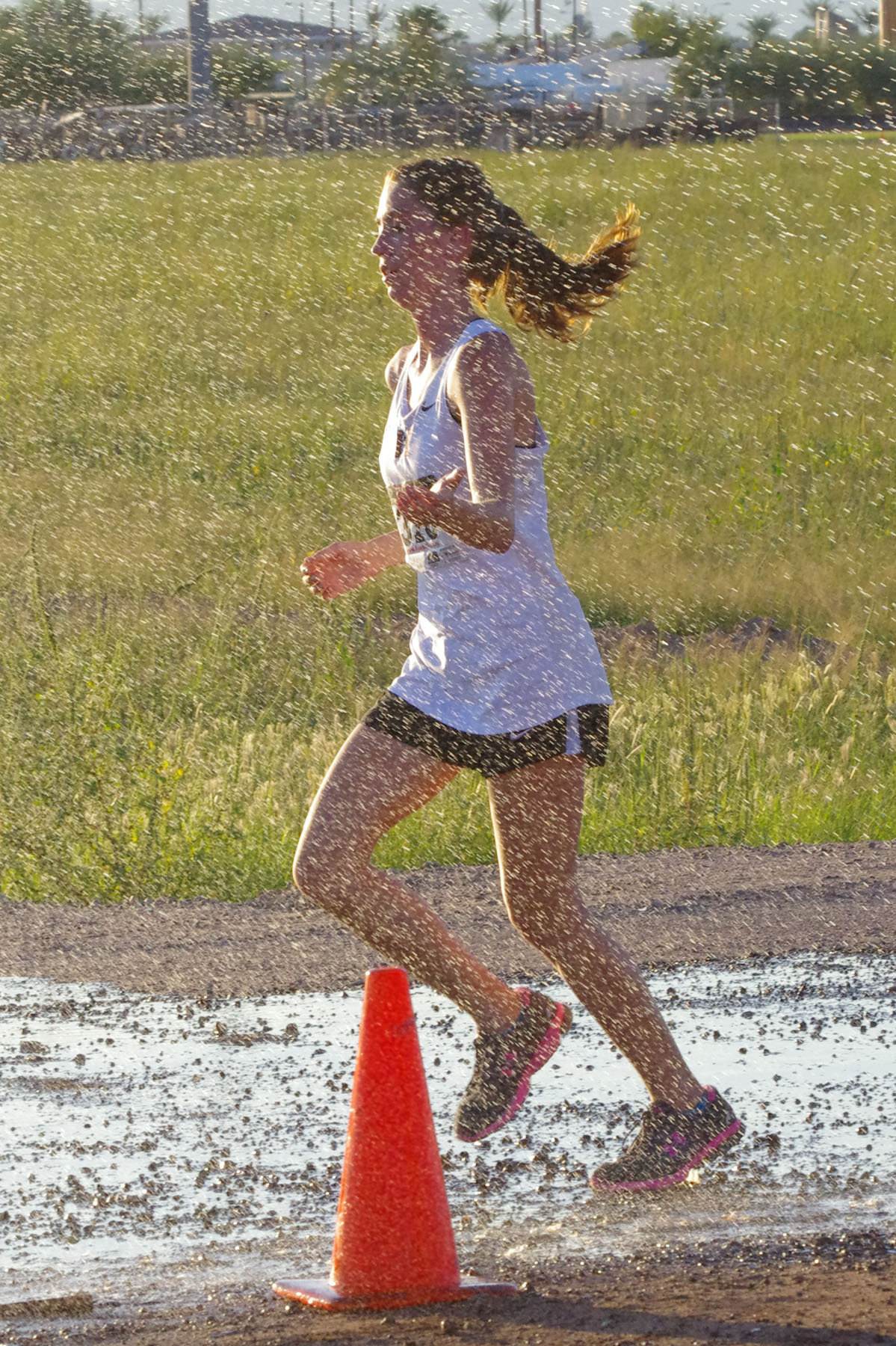 IMGP9847_C.jpg