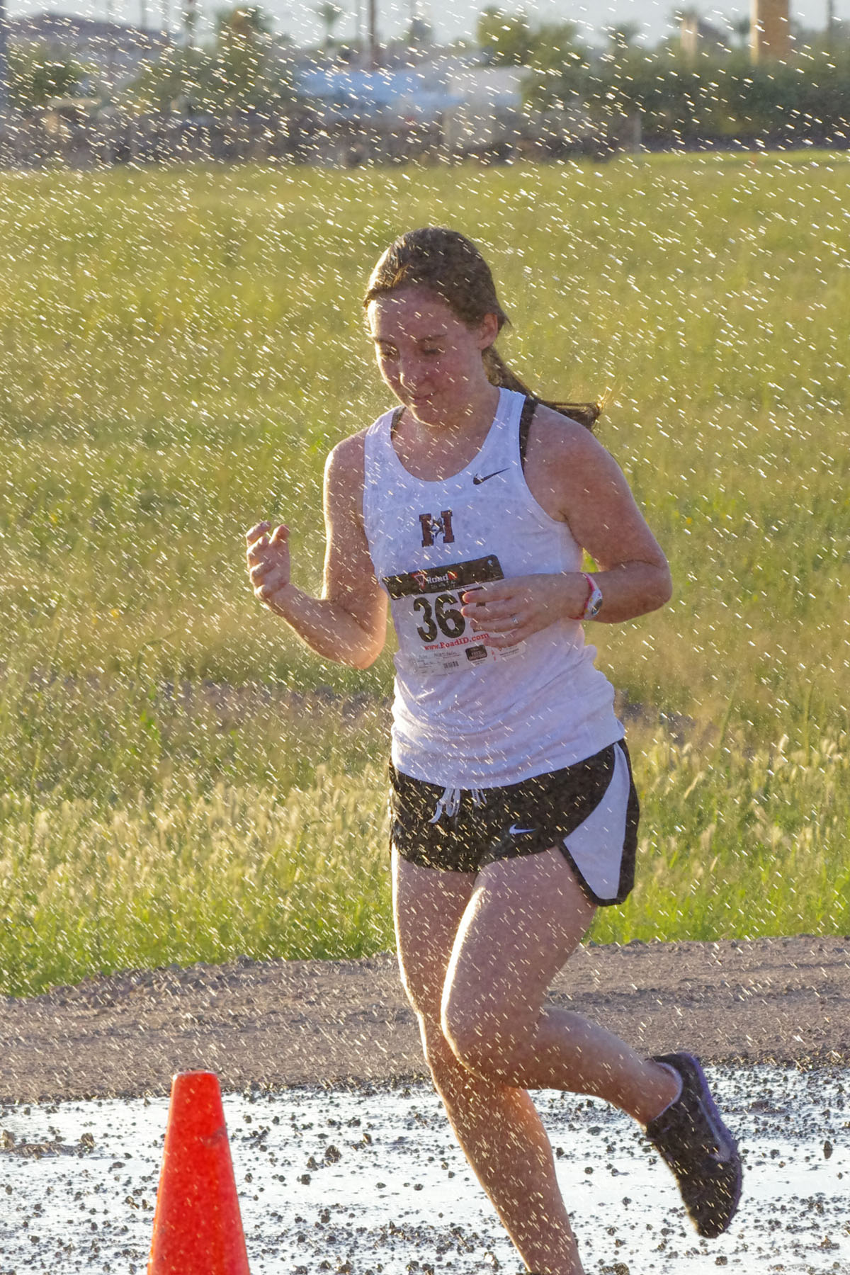 IMGP9857_C.jpg