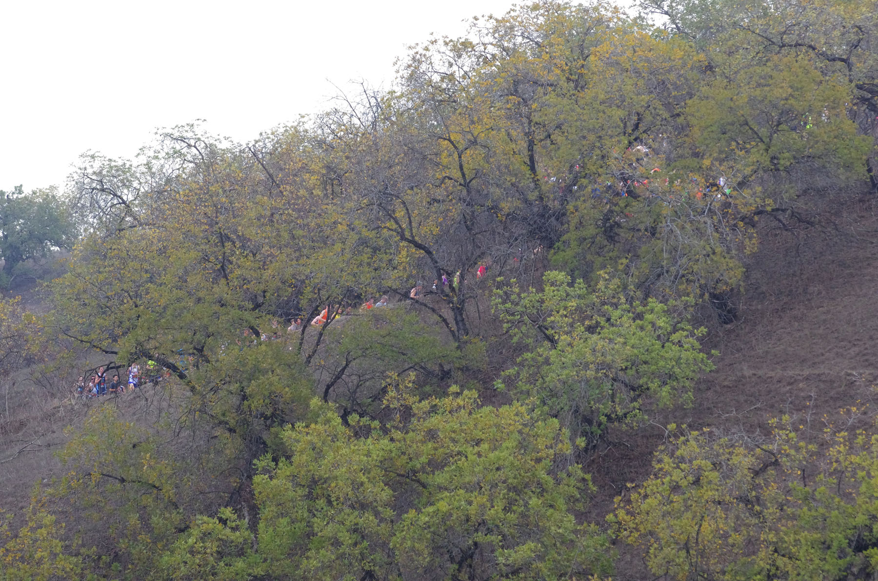 IMGP2184_E.jpg