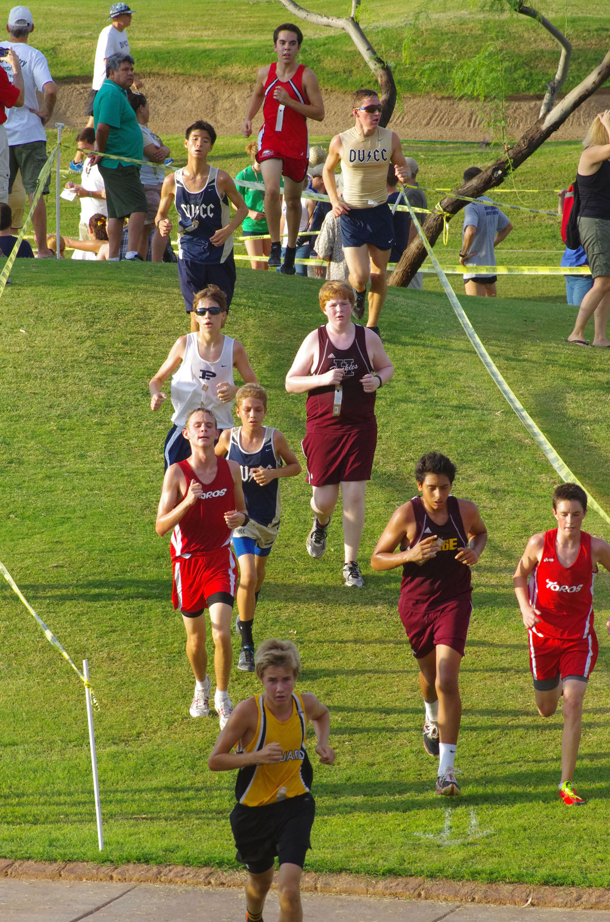 IMGP8930.jpg