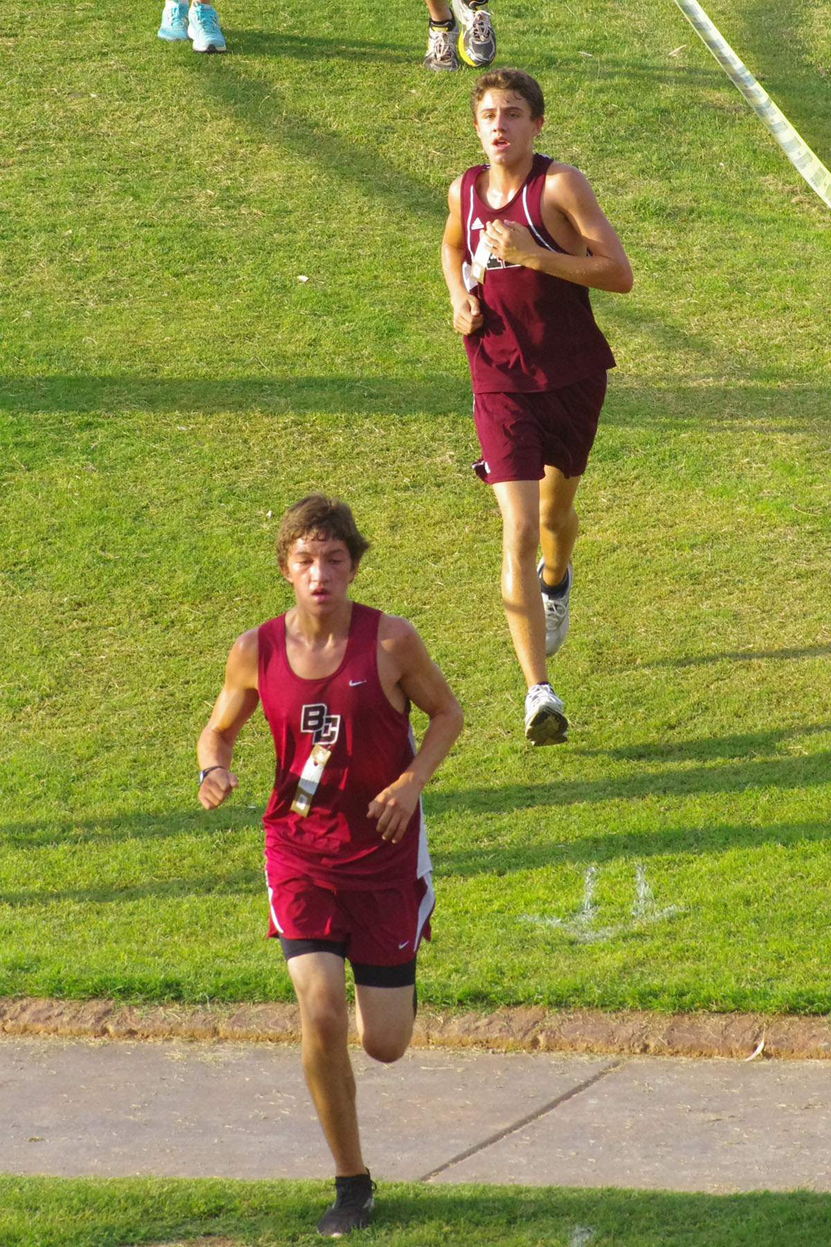 IMGP8937_C.jpg