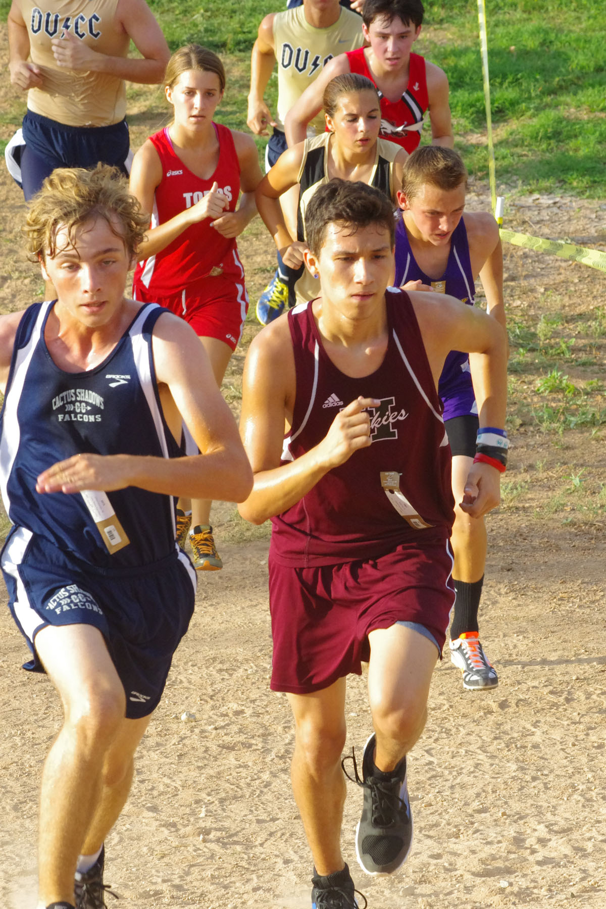 IMGP8943_C.jpg