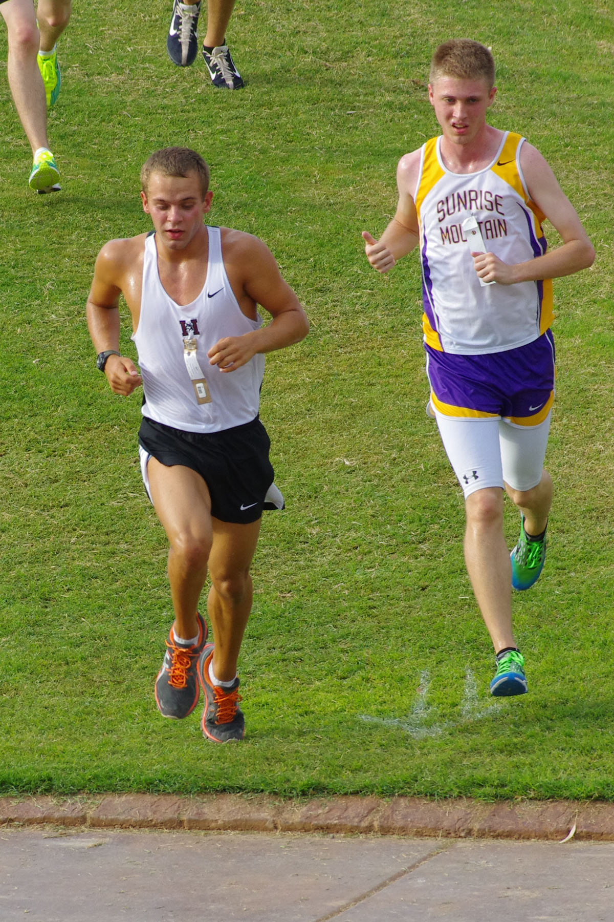 IMGP9022_C.jpg