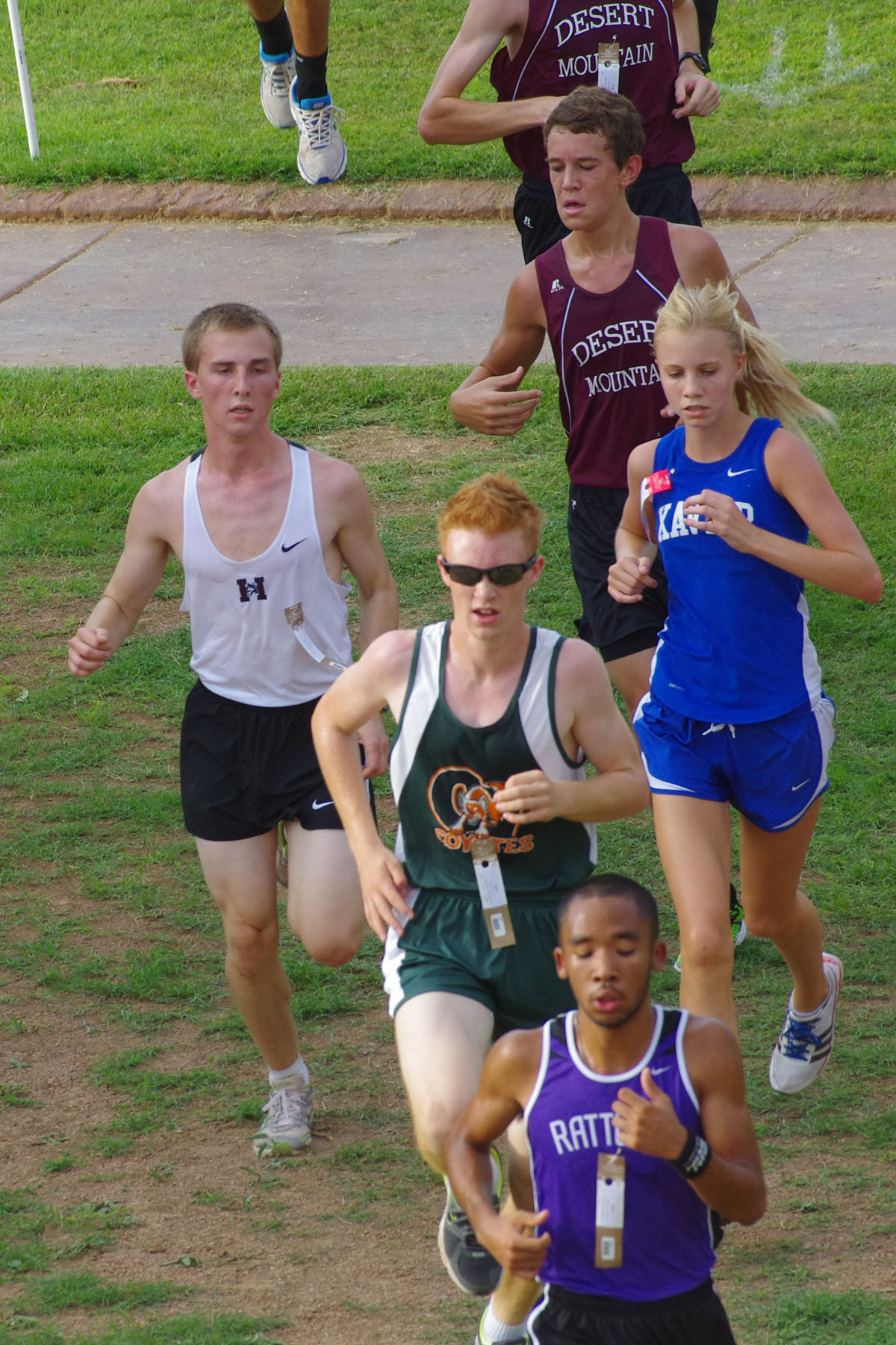 IMGP9026_C.jpg