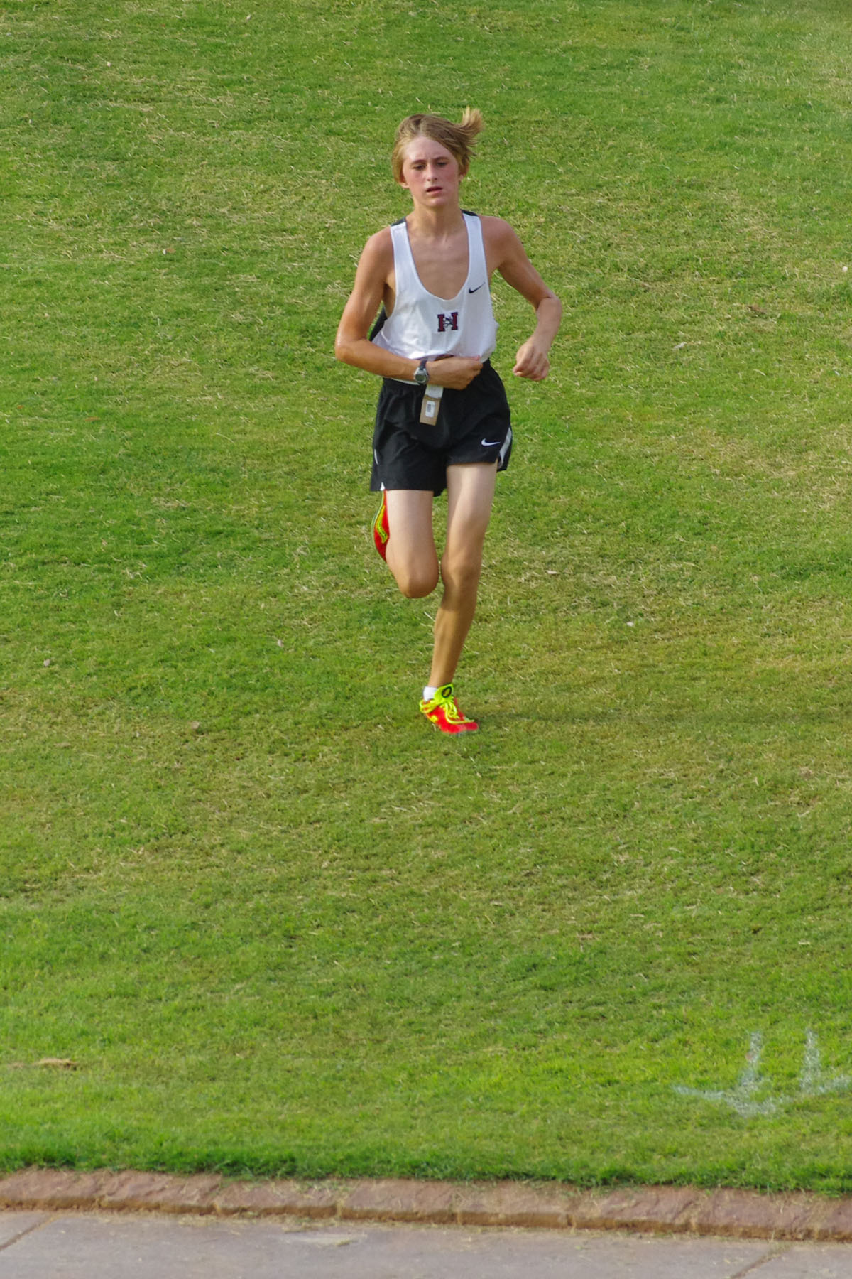 IMGP9032_C.jpg