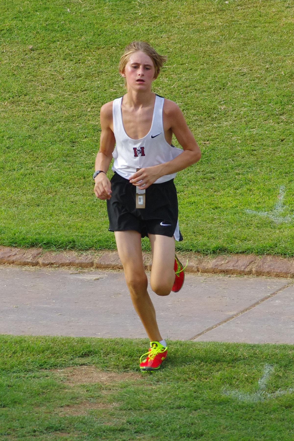 IMGP9033_C.jpg