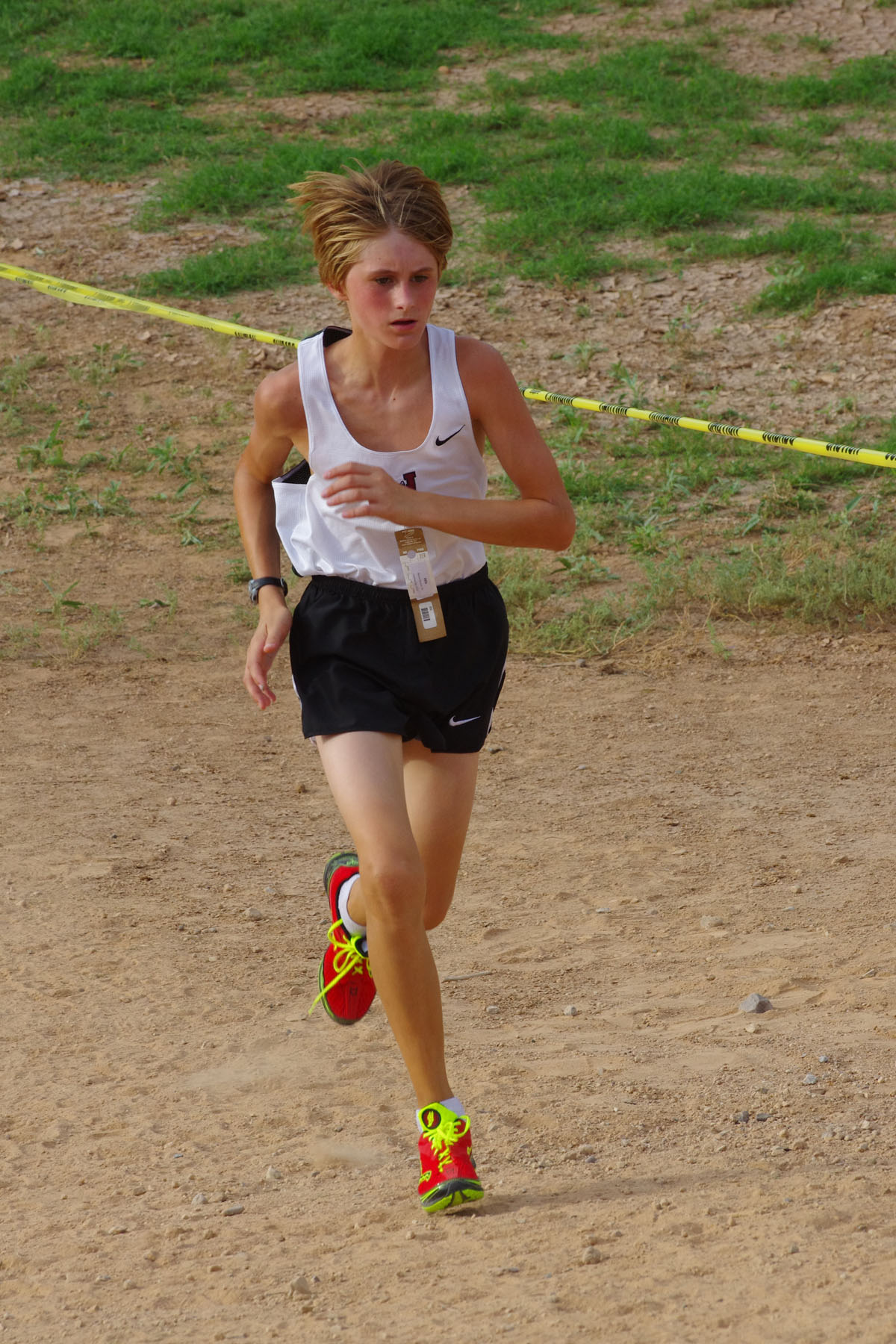 IMGP9036_C.jpg