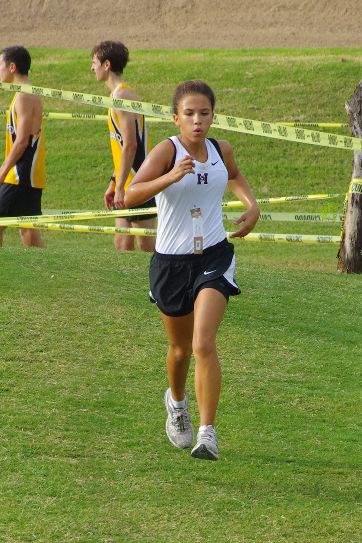 IMGP9053_C.jpg