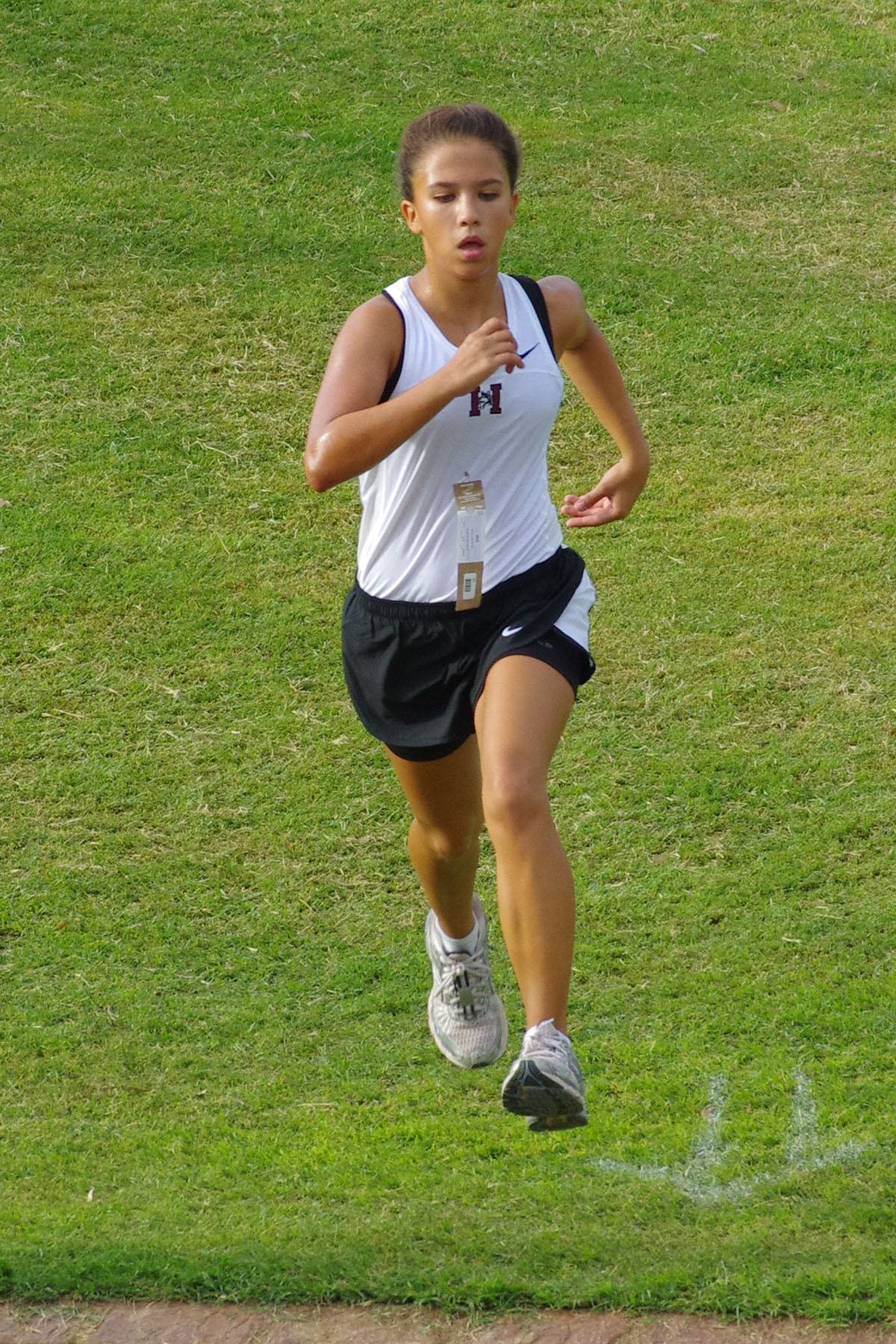 IMGP9054_C.jpg