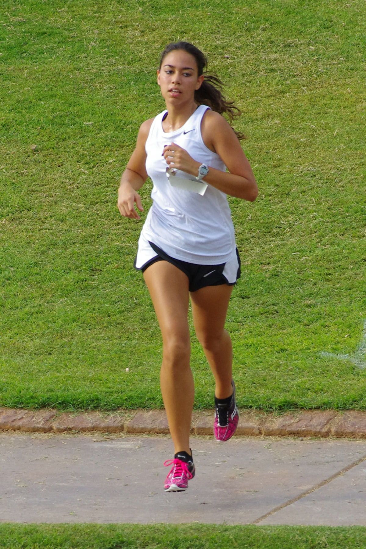 IMGP9064_C.jpg