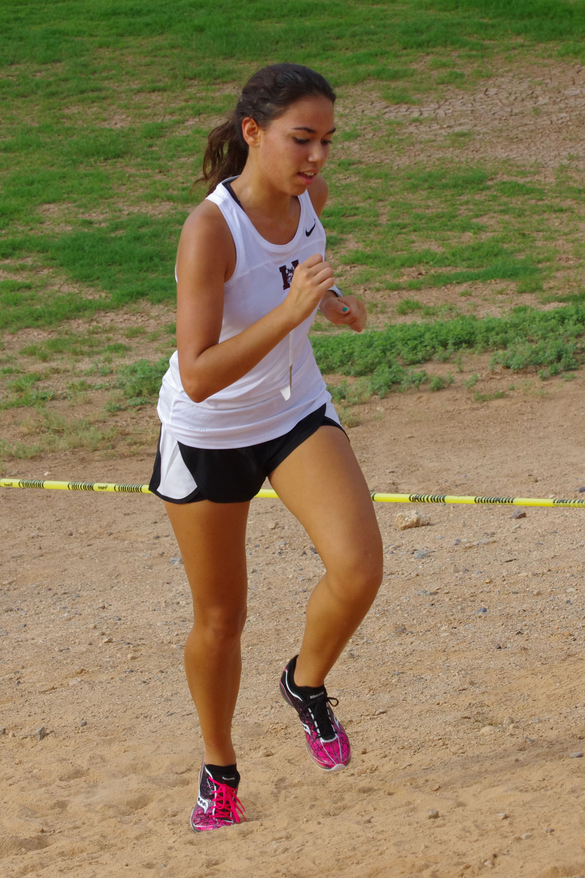 IMGP9068_C.jpg