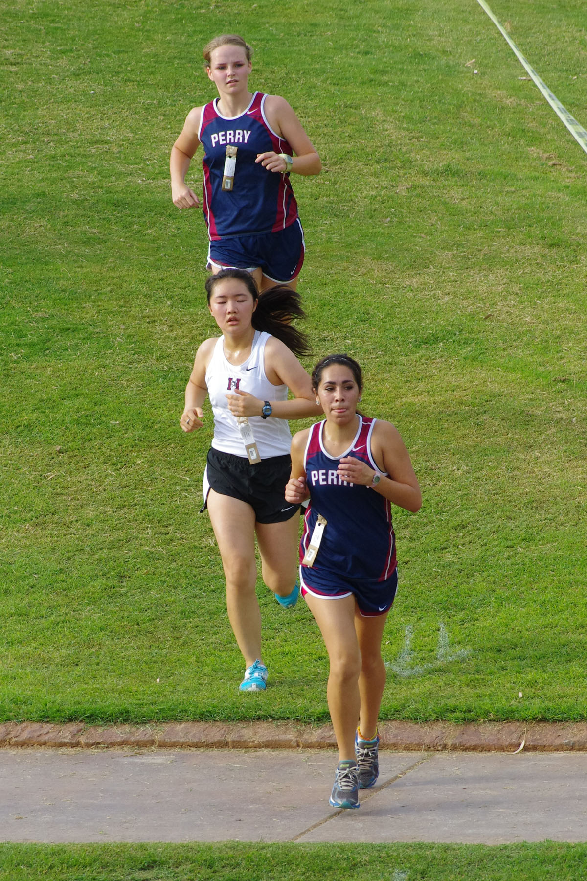 IMGP9071_C.jpg