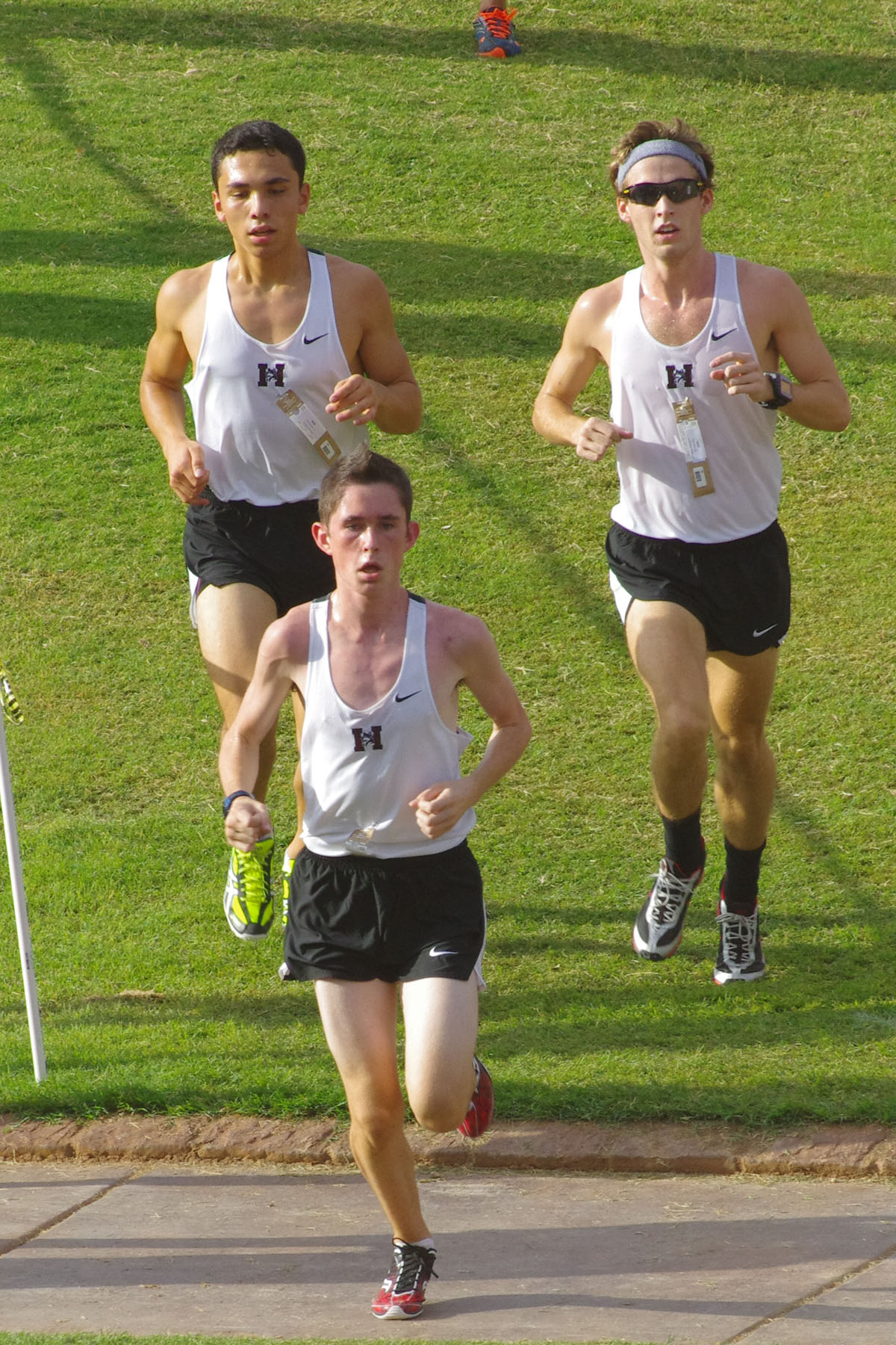 IMGP9088_C.jpg