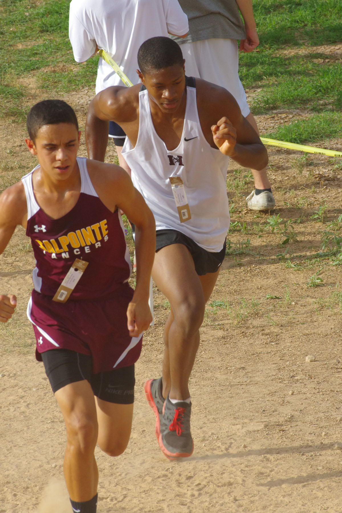 IMGP9097_C.jpg