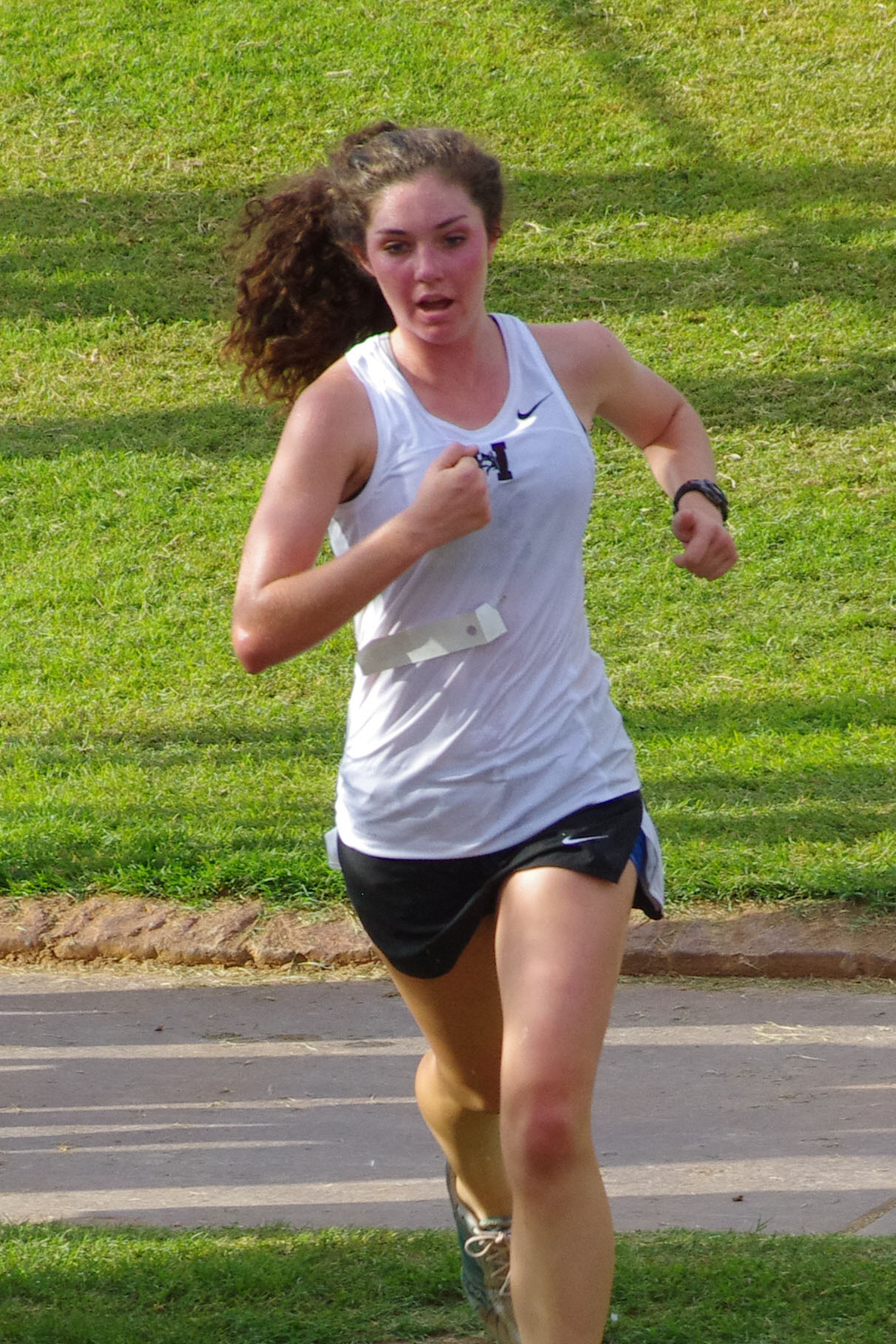 IMGP9104_C.jpg