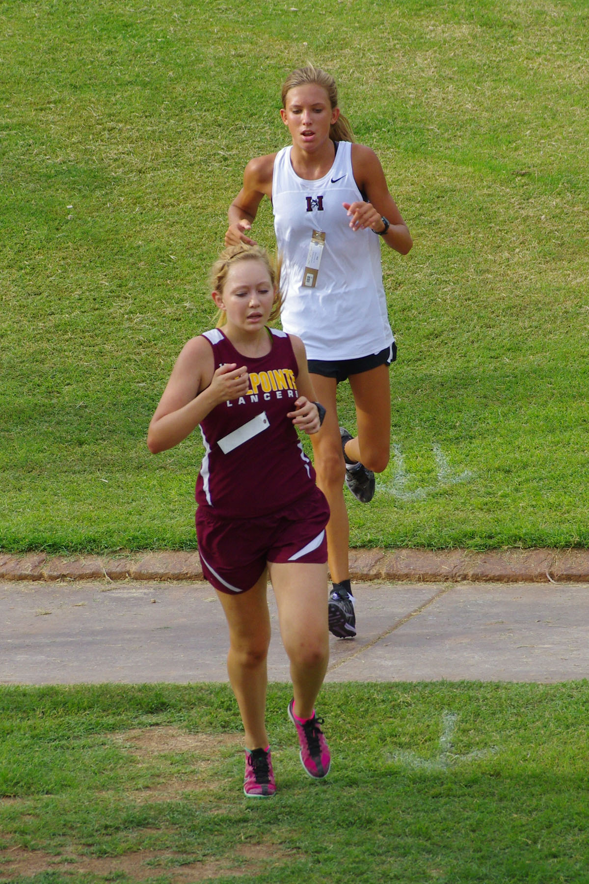 IMGP9155_C.jpg