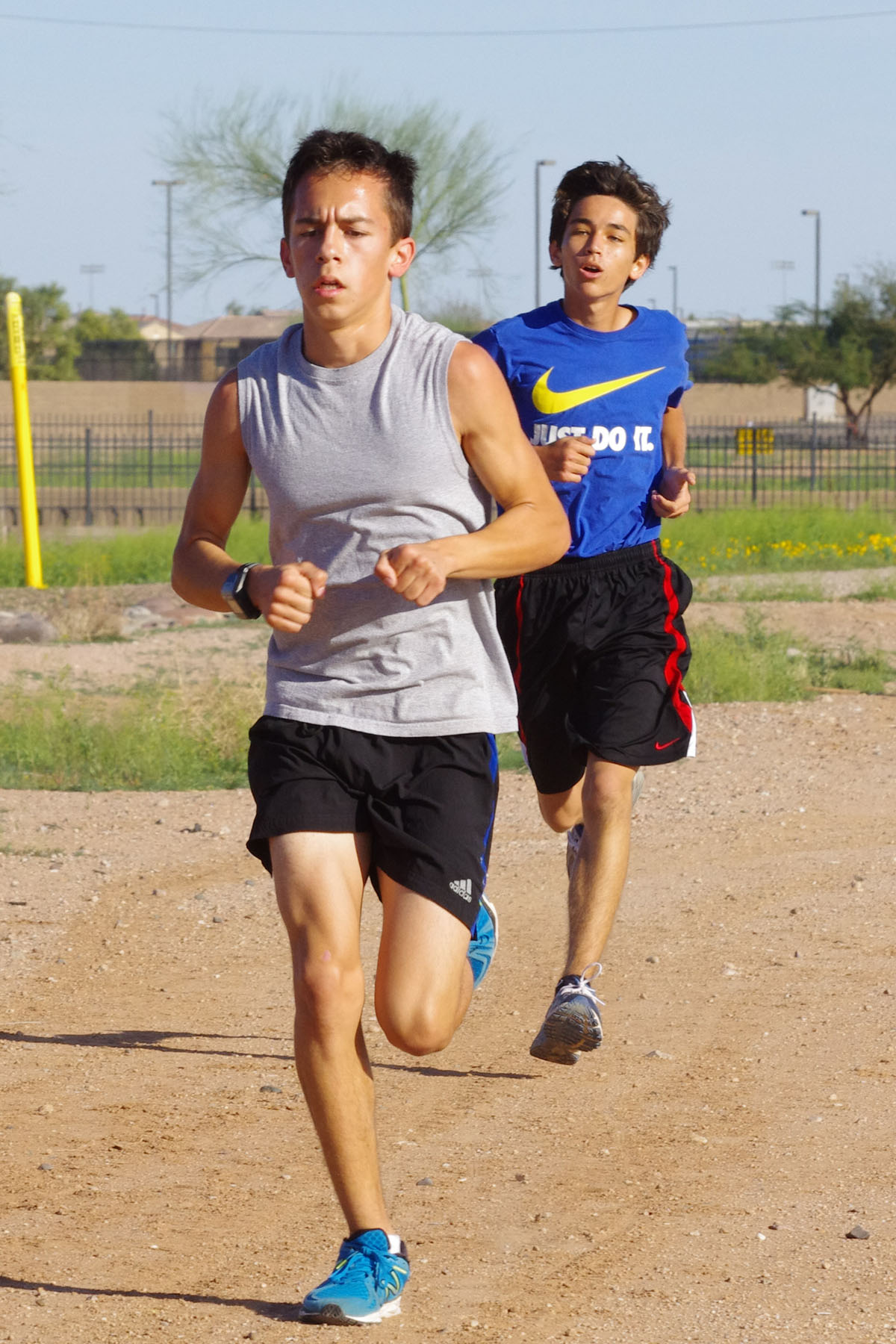 IMGP4643_C.jpg