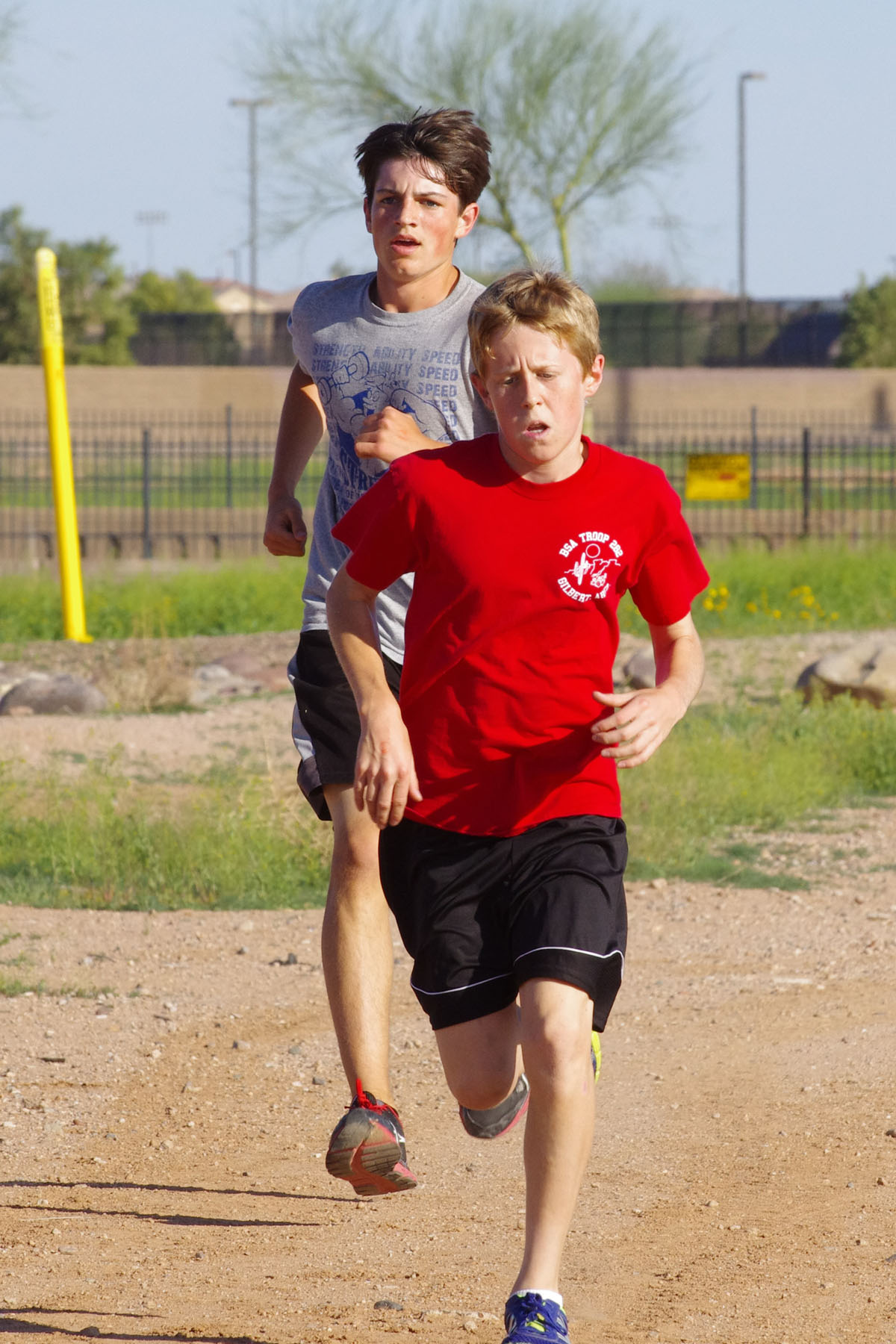 IMGP4645_C.jpg