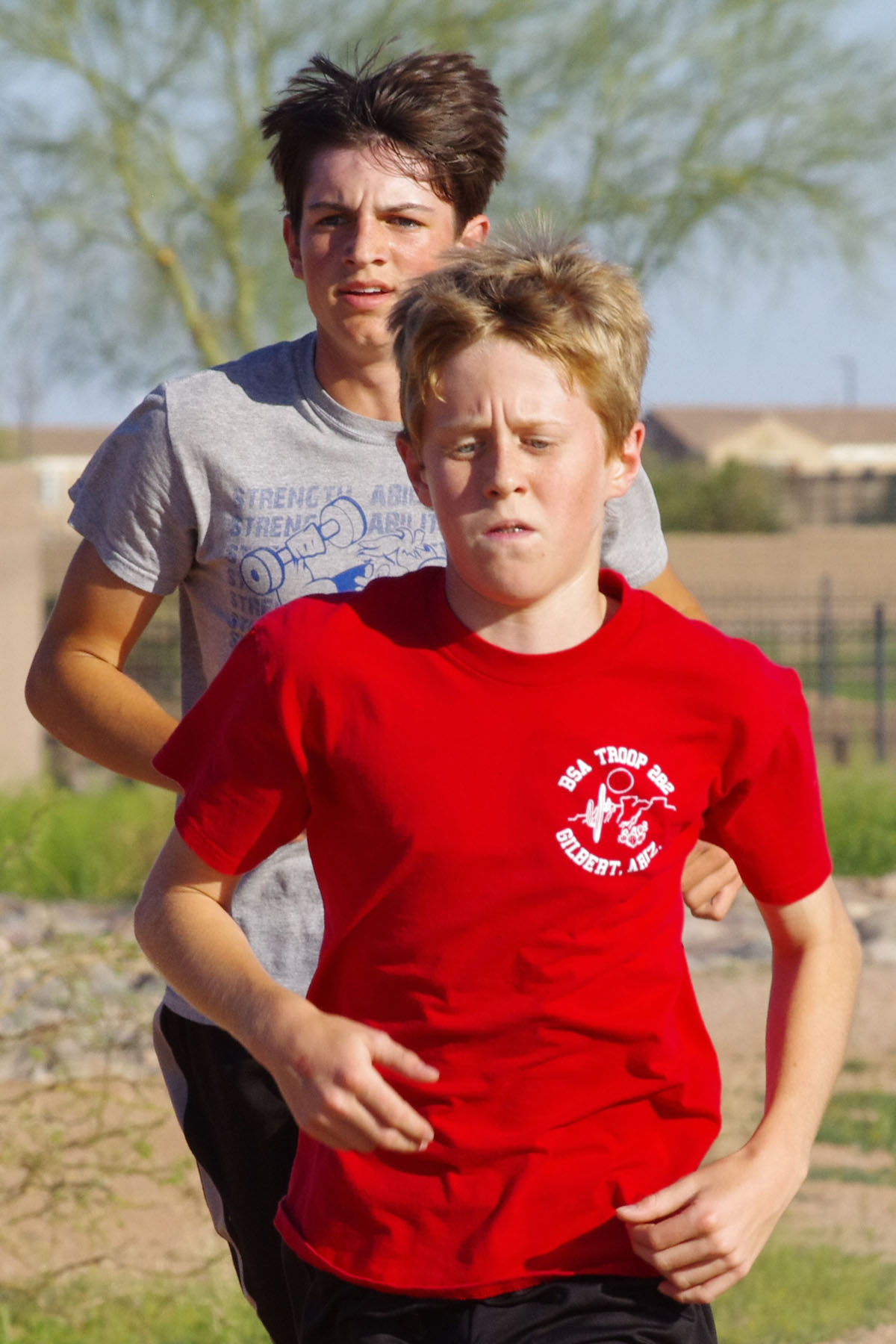 IMGP4647_C.jpg