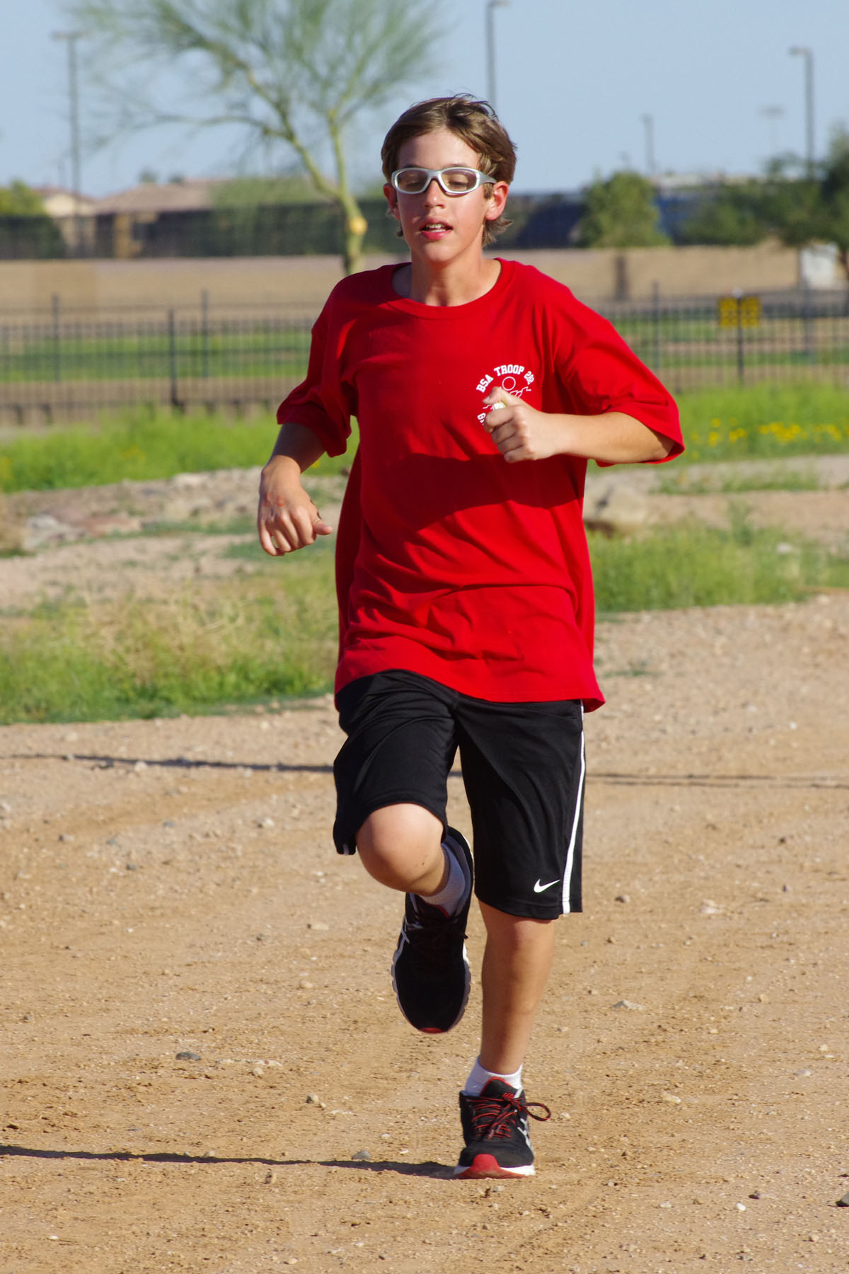 IMGP4660_C.jpg