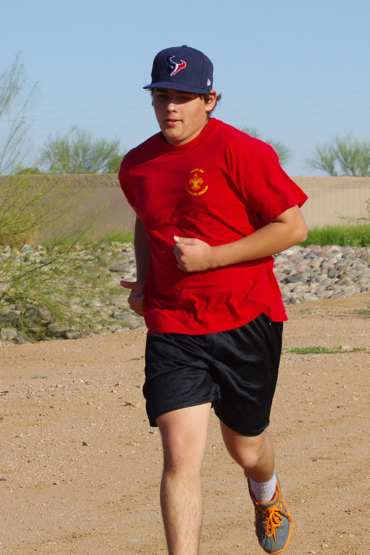 IMGP4671_C.jpg