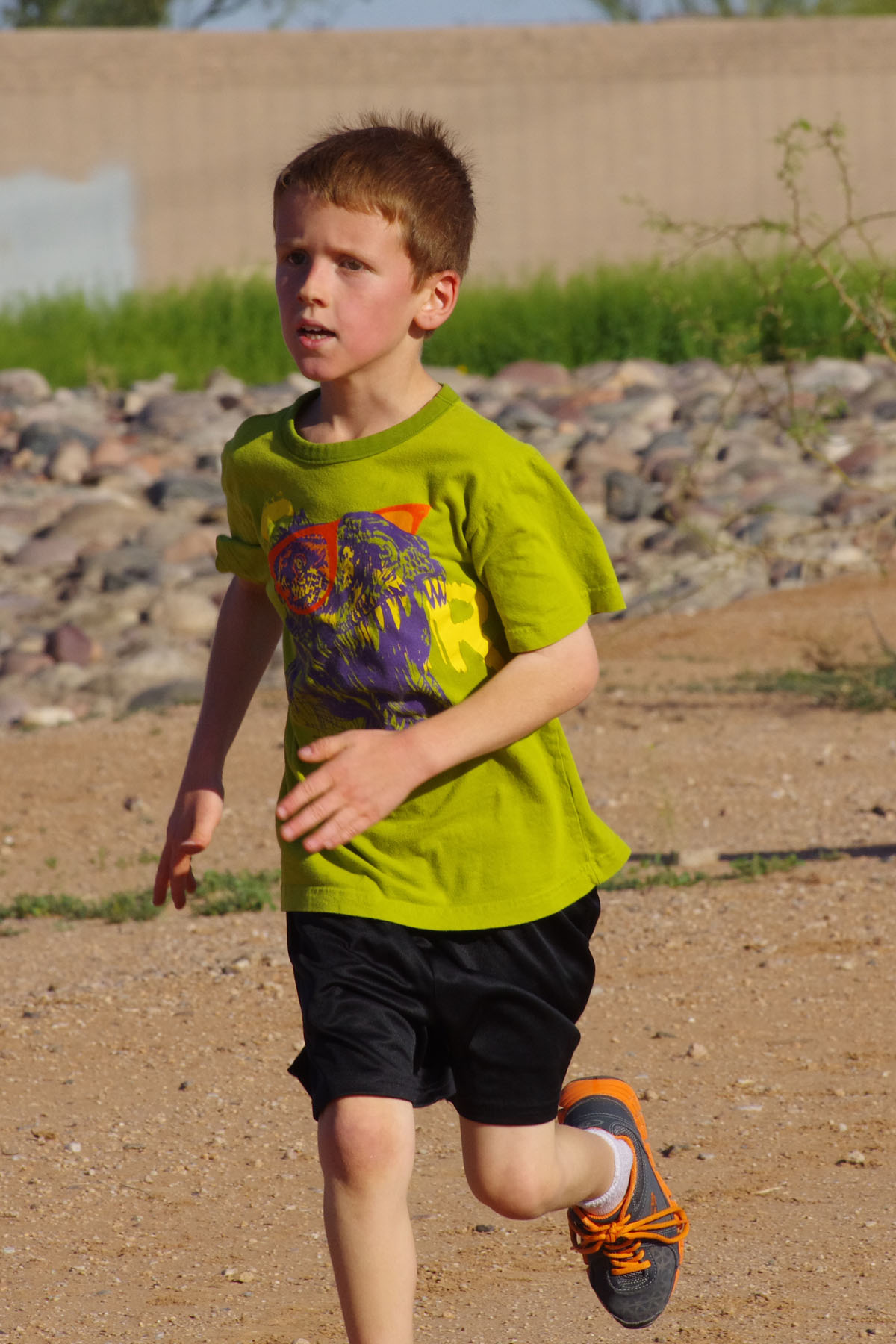 IMGP4681_C.jpg