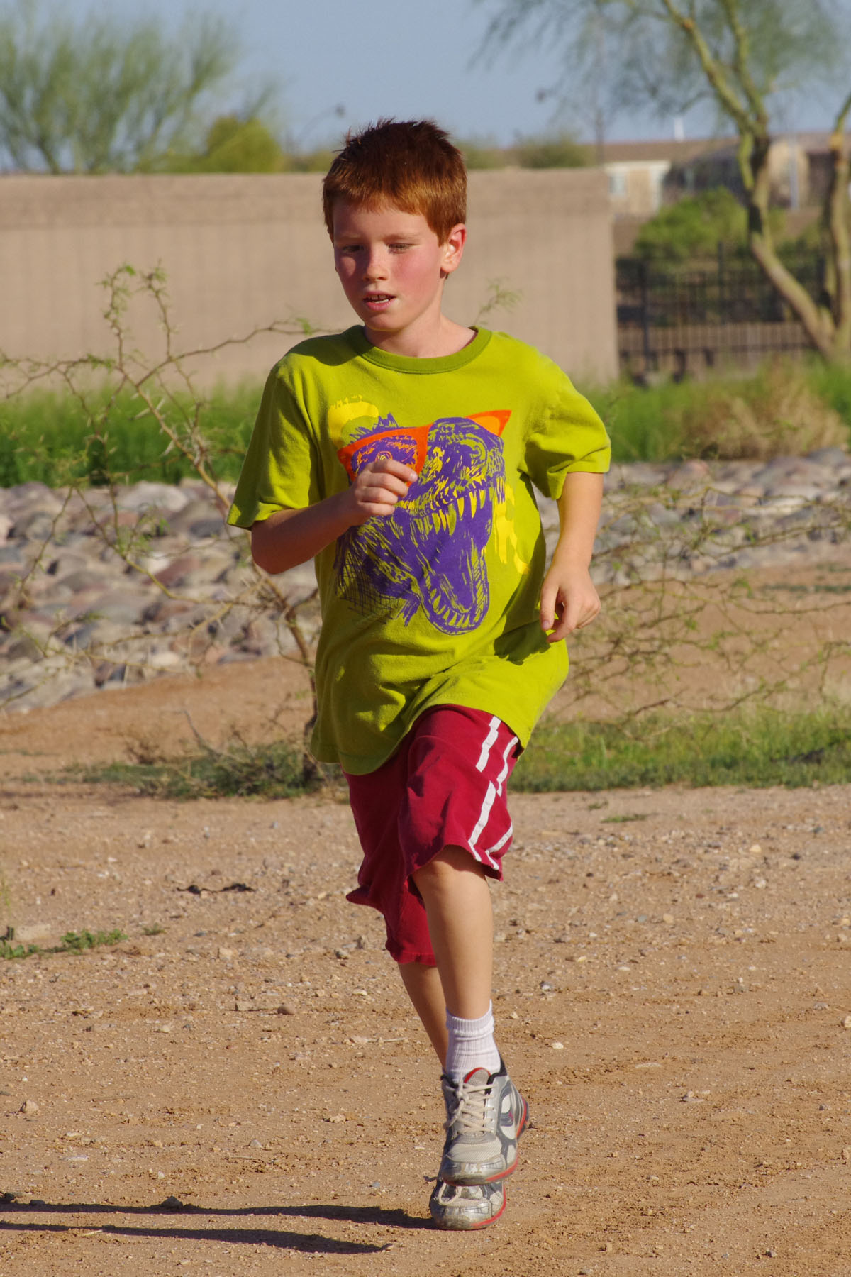 IMGP4685_C.jpg
