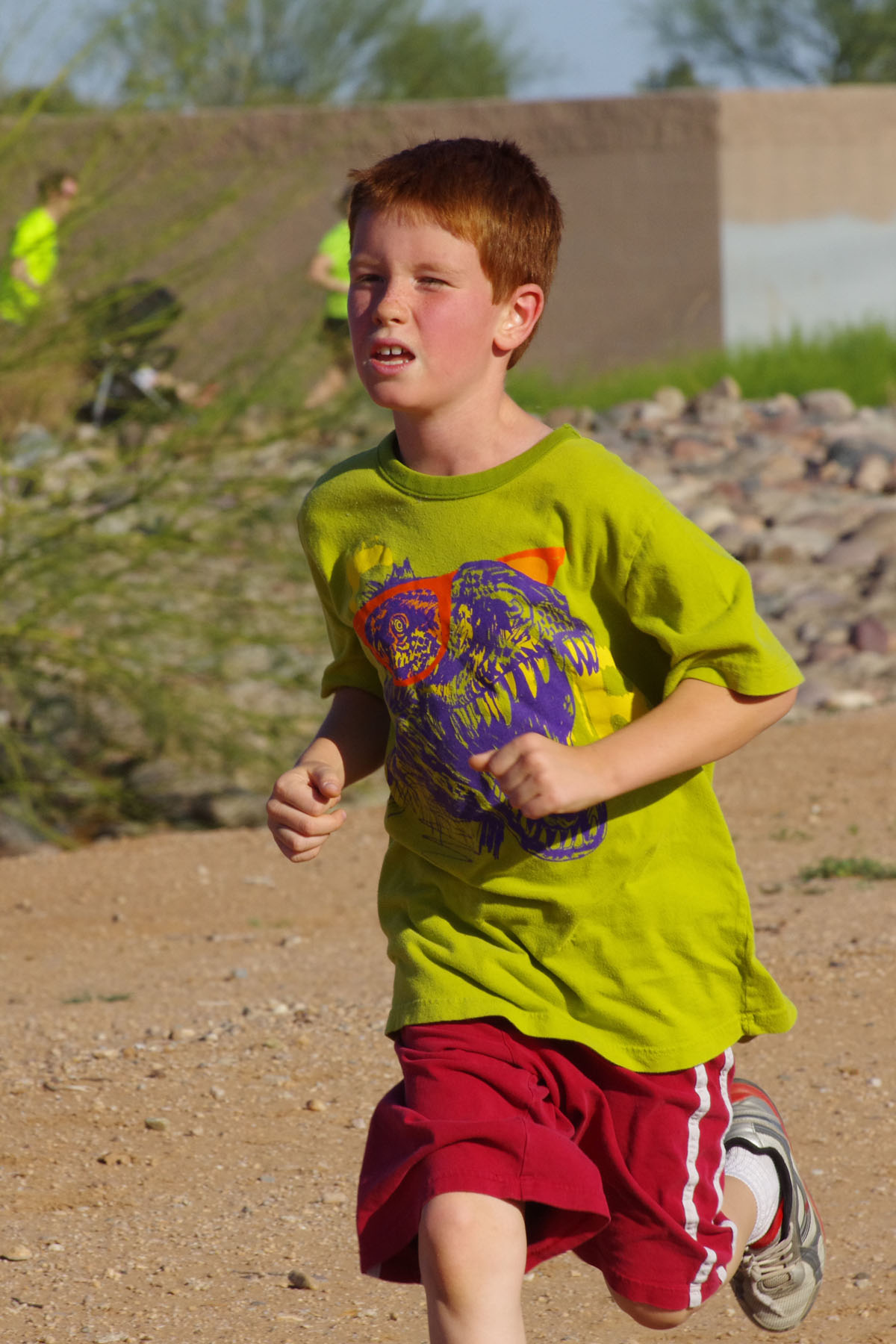IMGP4686_C.jpg