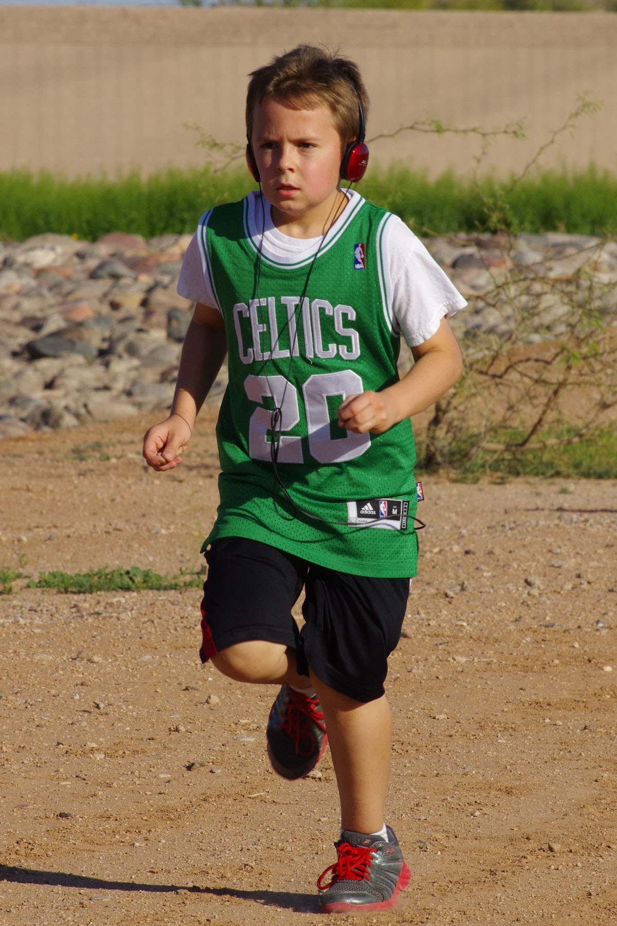 IMGP4687_C.jpg