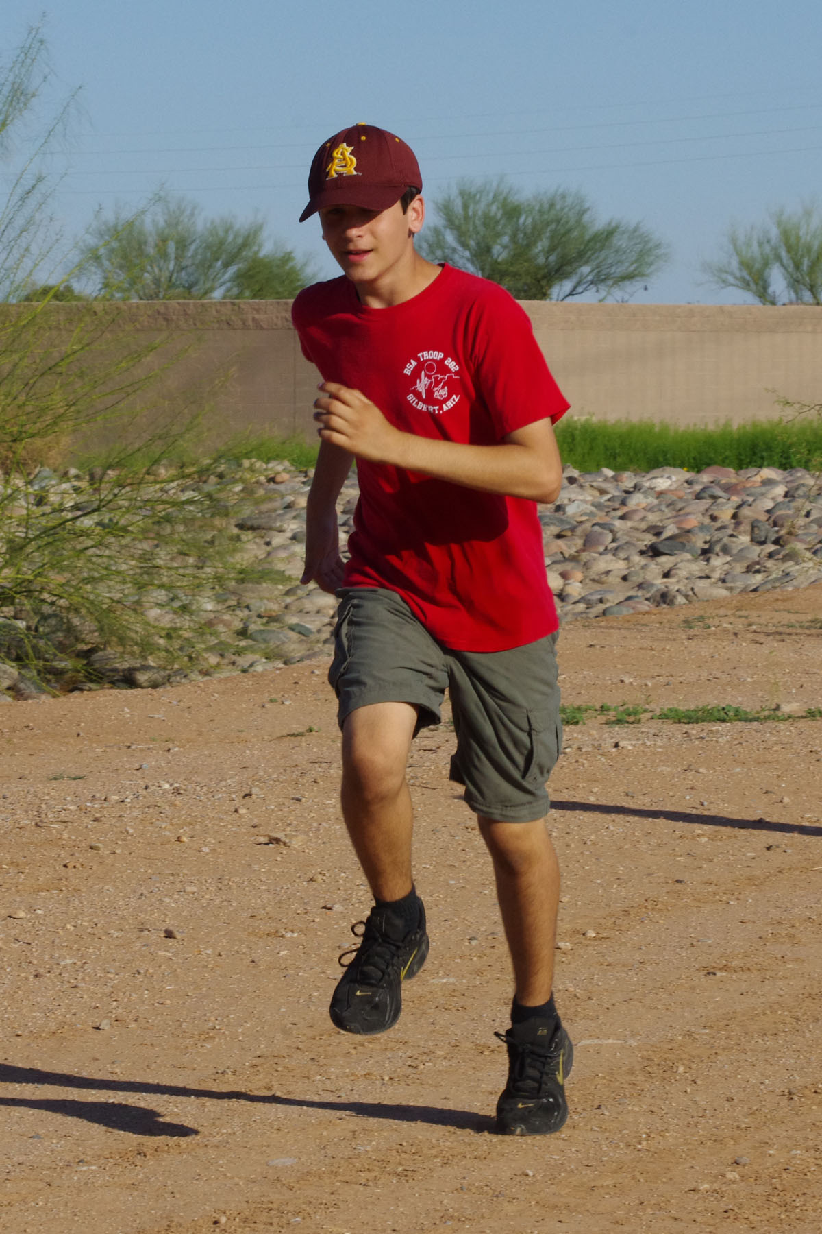 IMGP4700_C.jpg