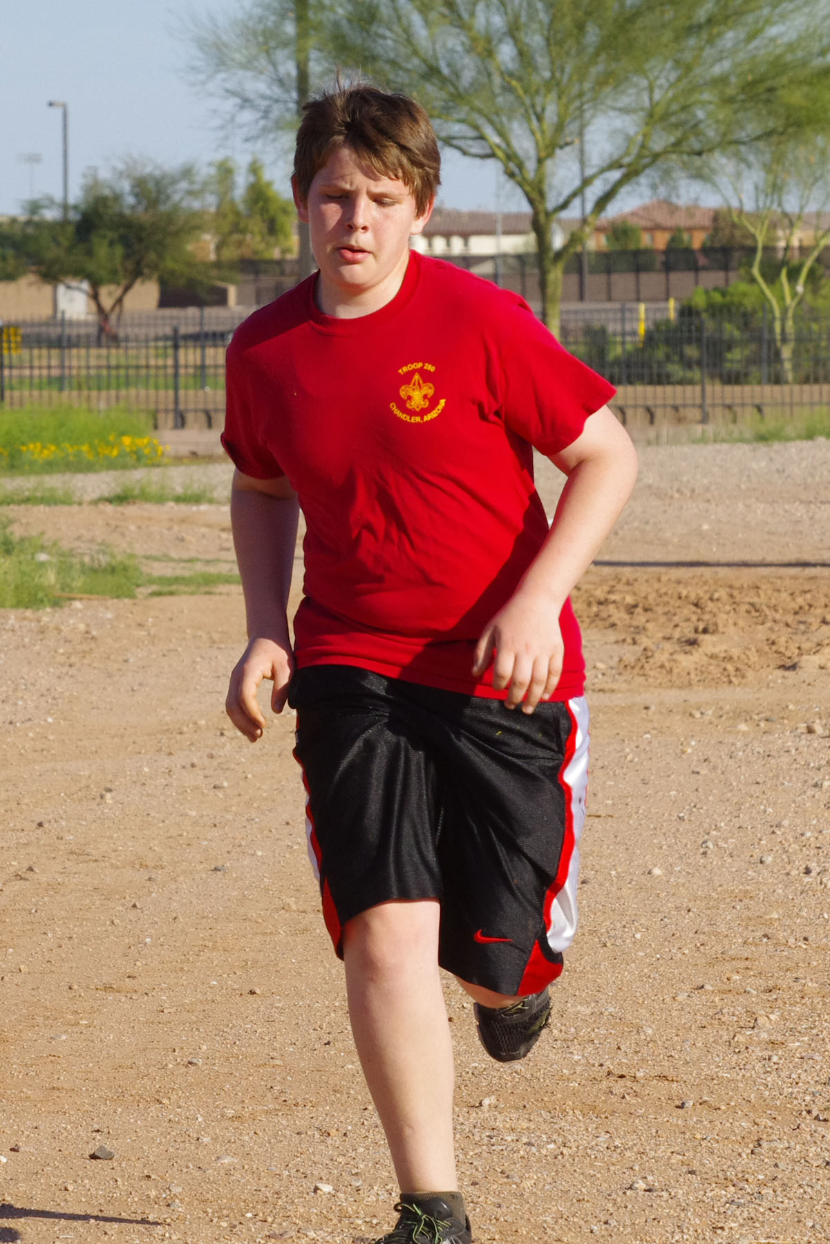 IMGP4720_C.jpg