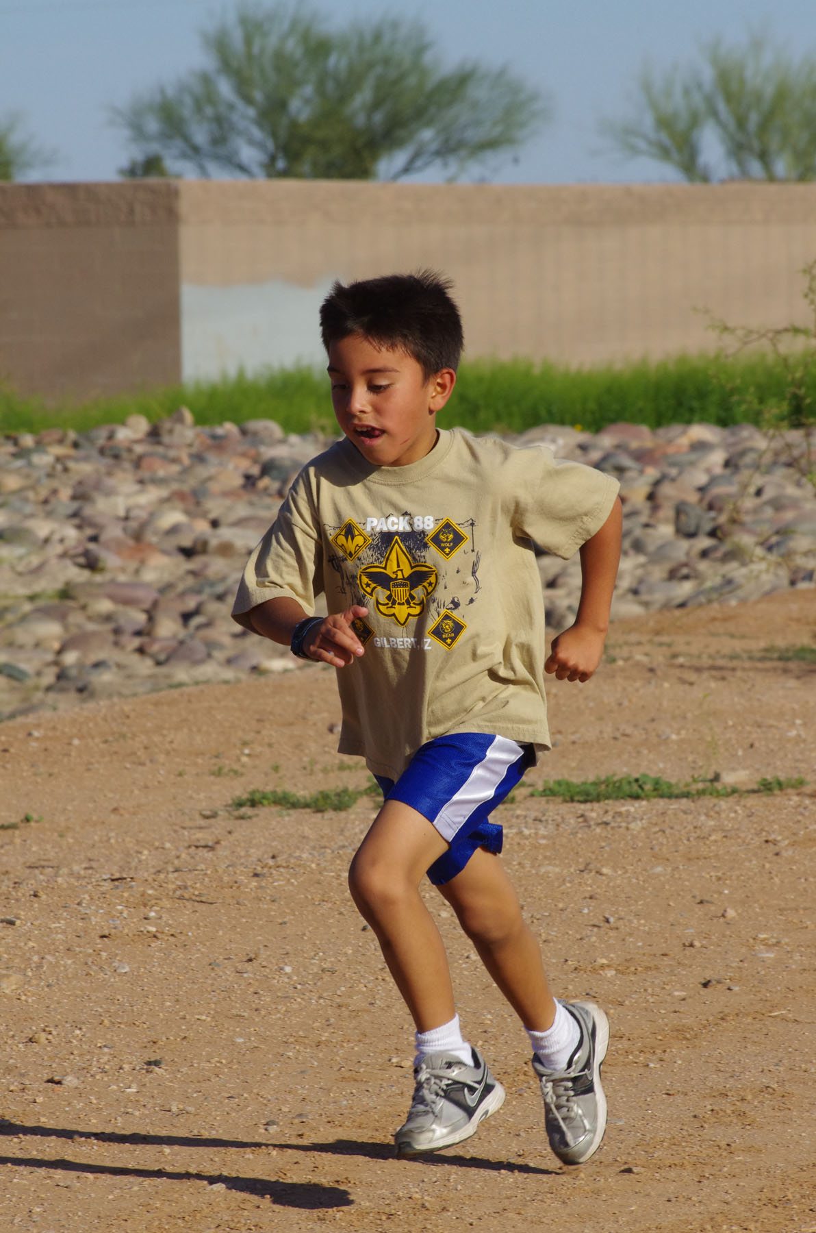 IMGP4726.jpg