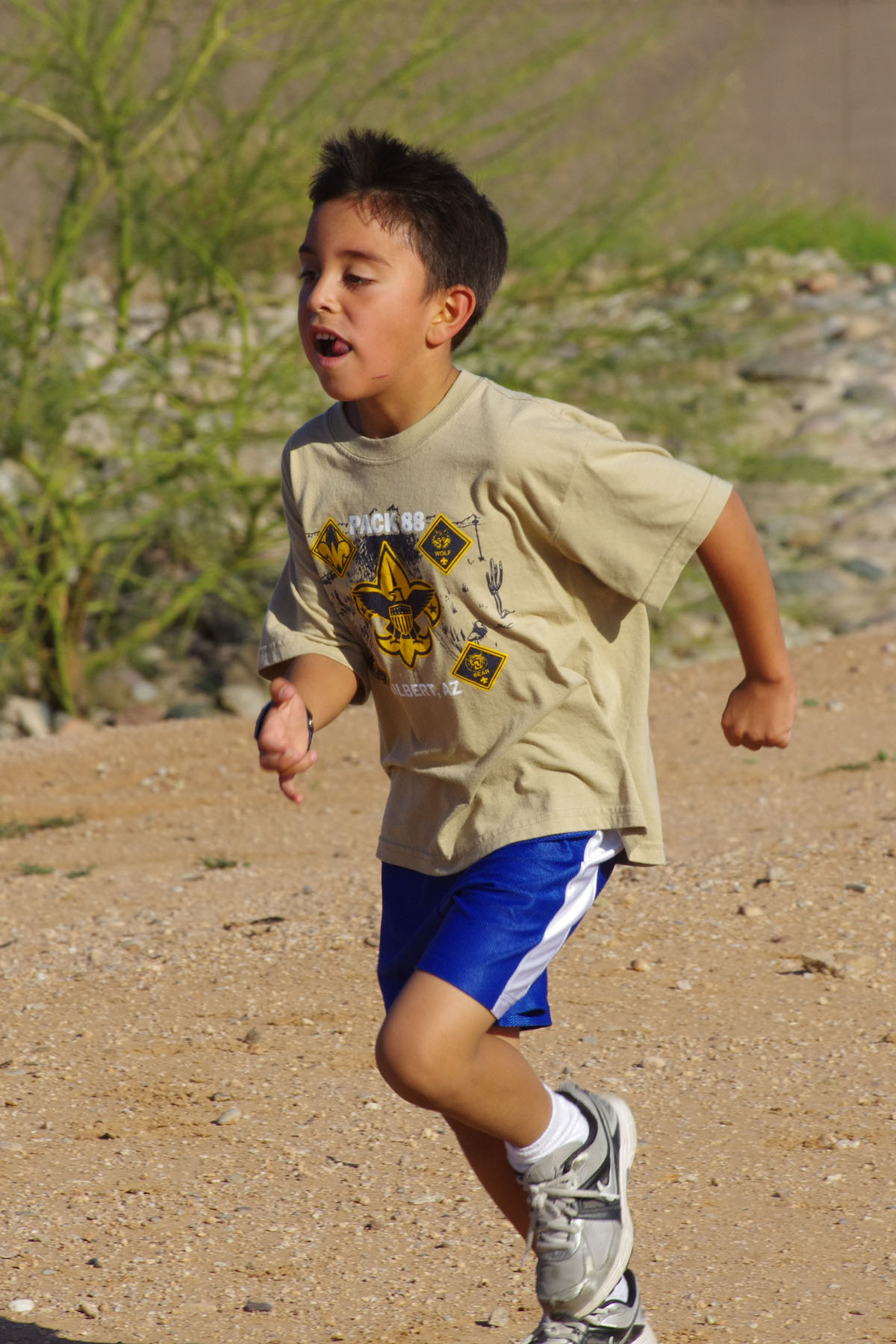 IMGP4727_C.jpg
