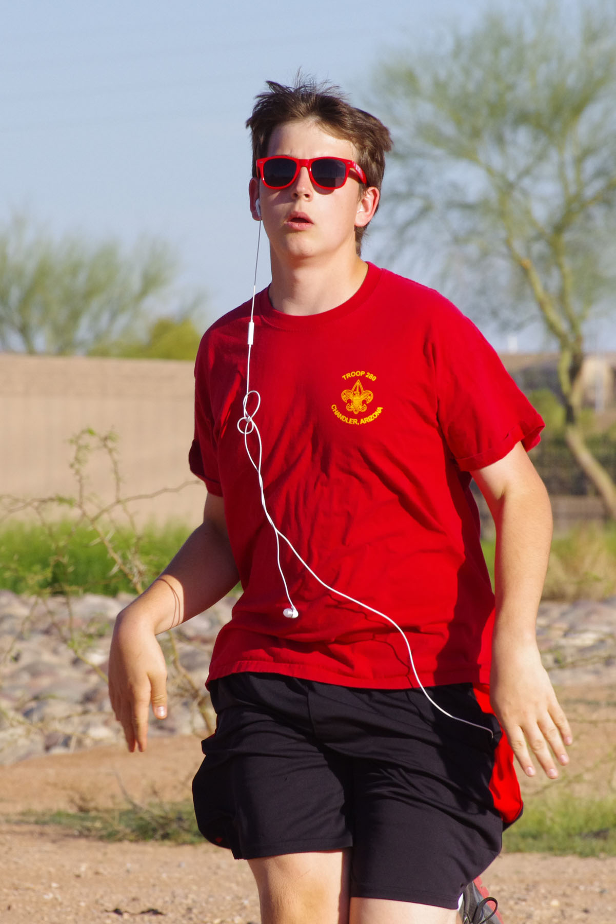 IMGP4733_C.jpg