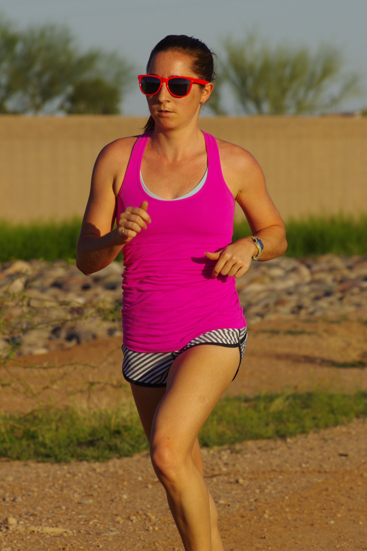 IMGP4861_C.jpg