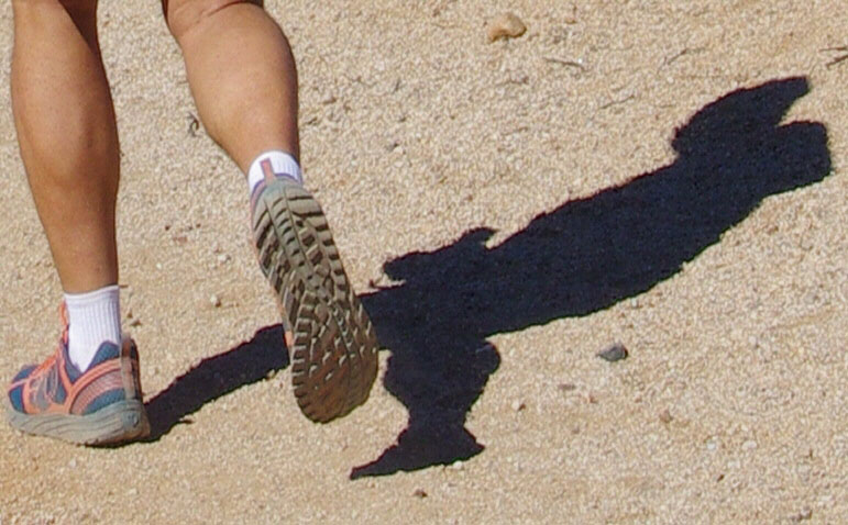 IMGP3926_CE.jpg