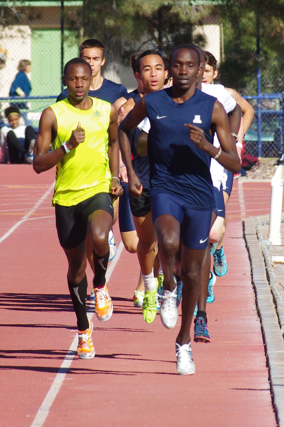 IMGP6541_C.jpg