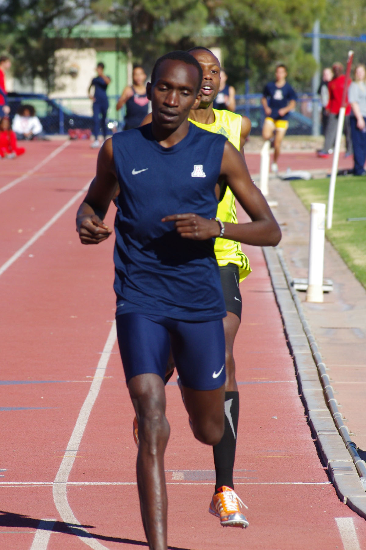 IMGP6555_C.jpg