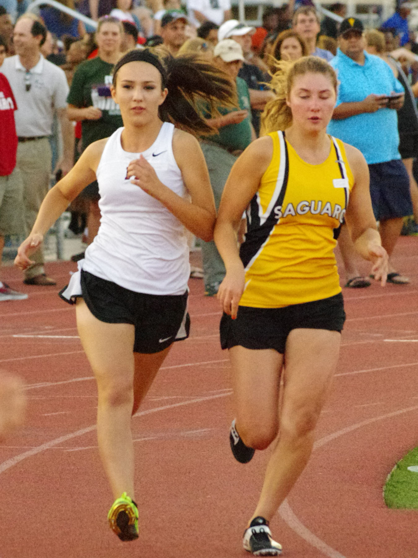 IMGP4202_C.jpg