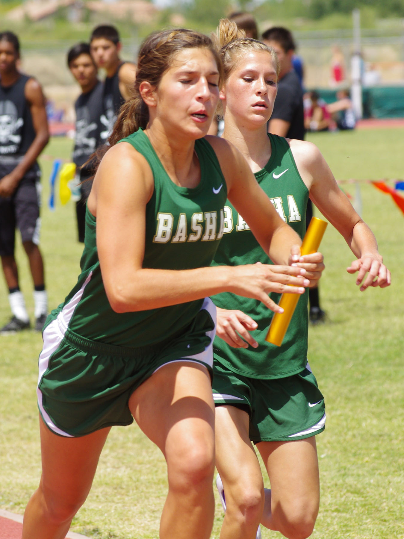 IMGP8071_C.jpg