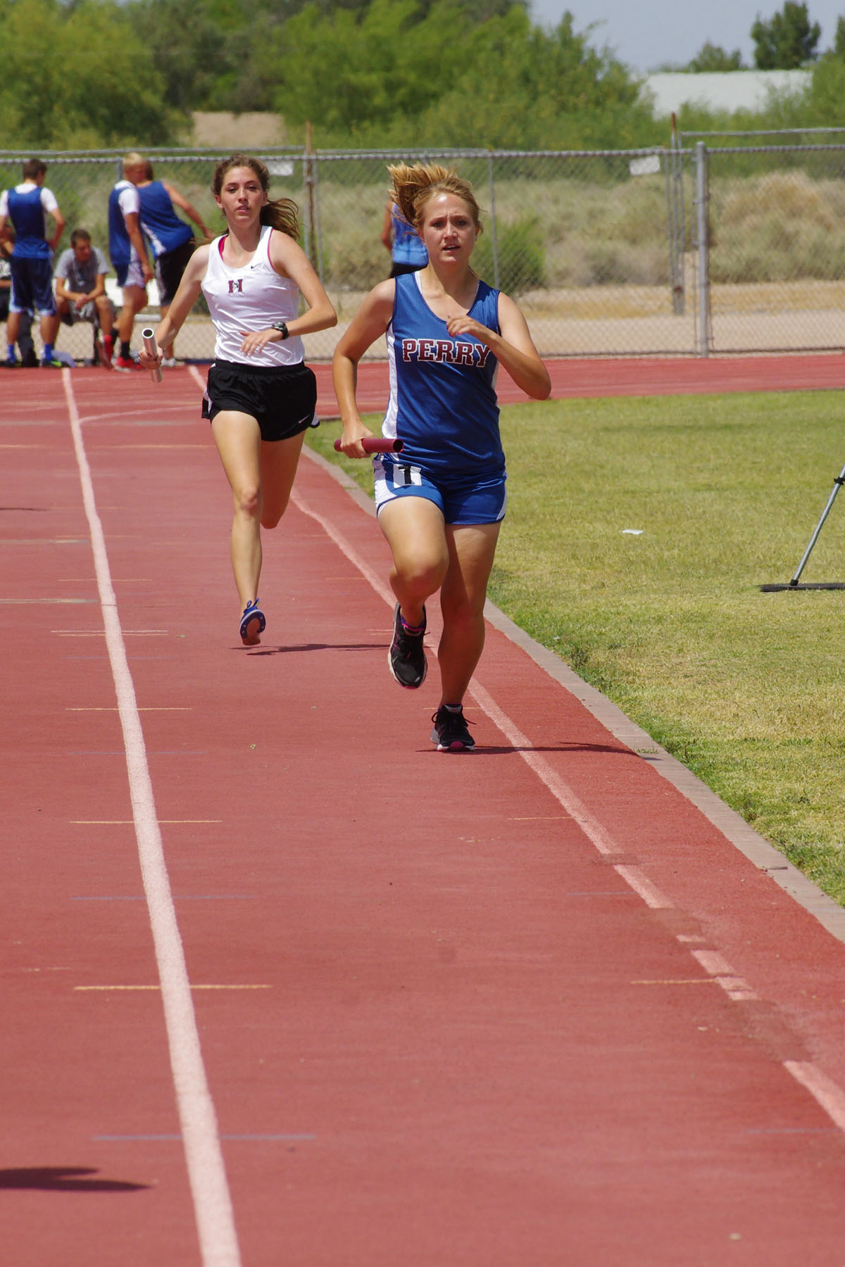 IMGP8155_C.jpg