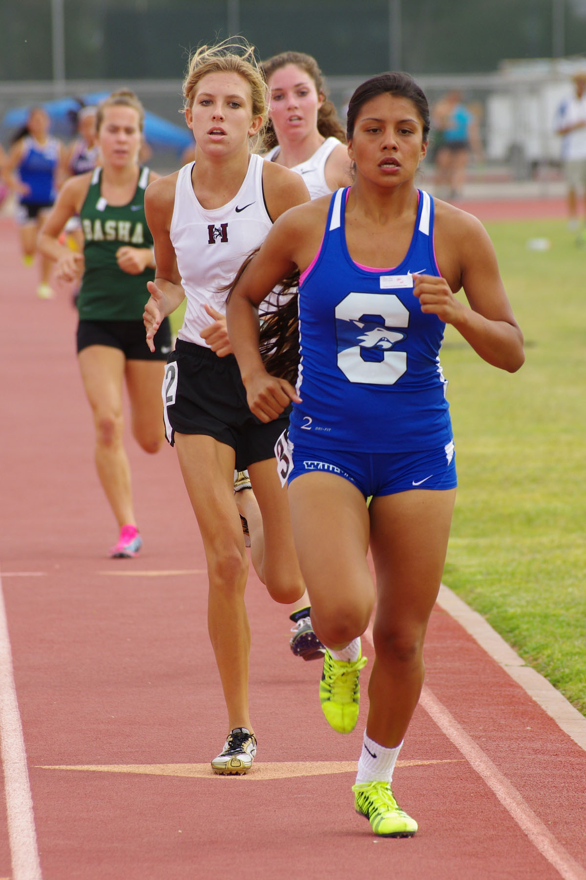 IMGP8526_C.jpg