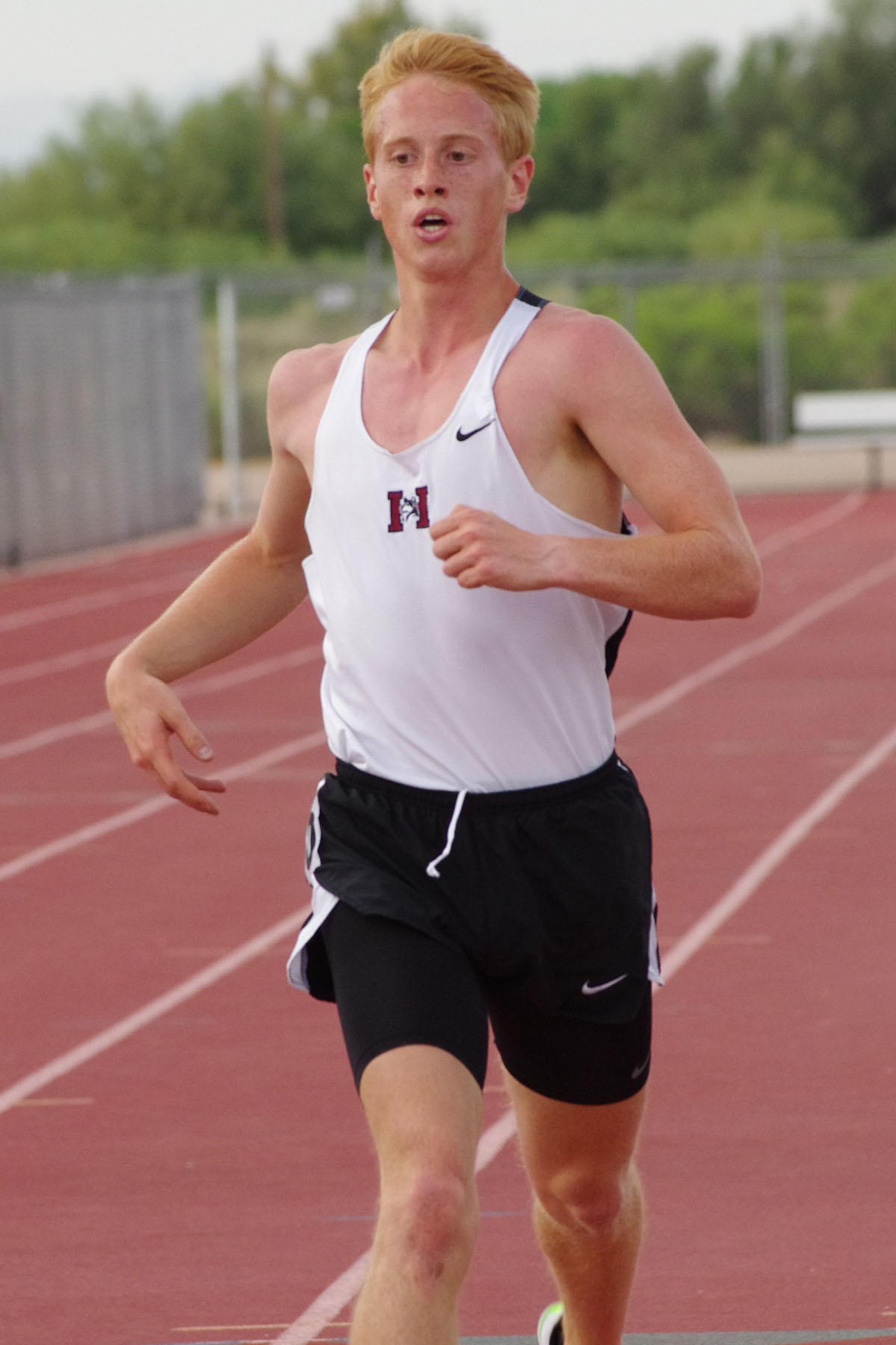 IMGP8968_C.jpg