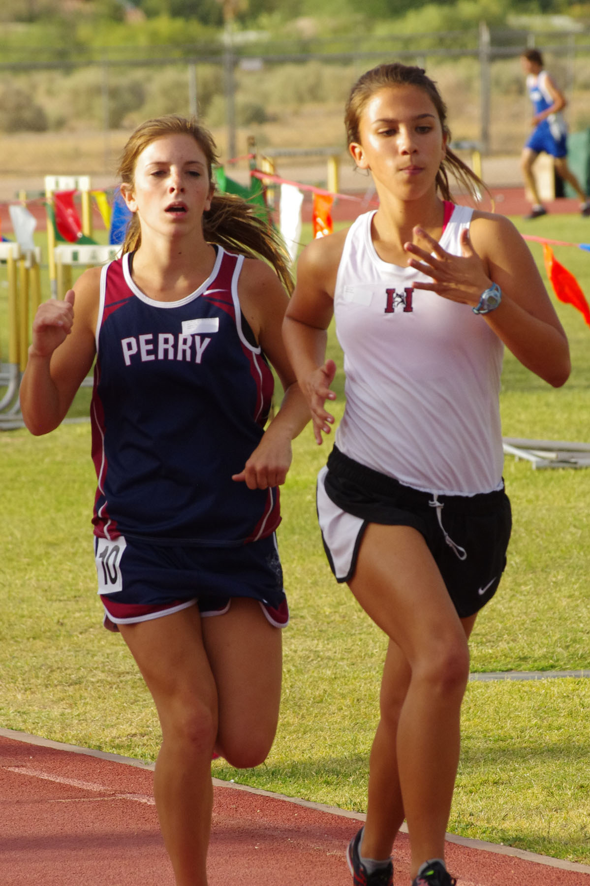 IMGP9016_C.jpg