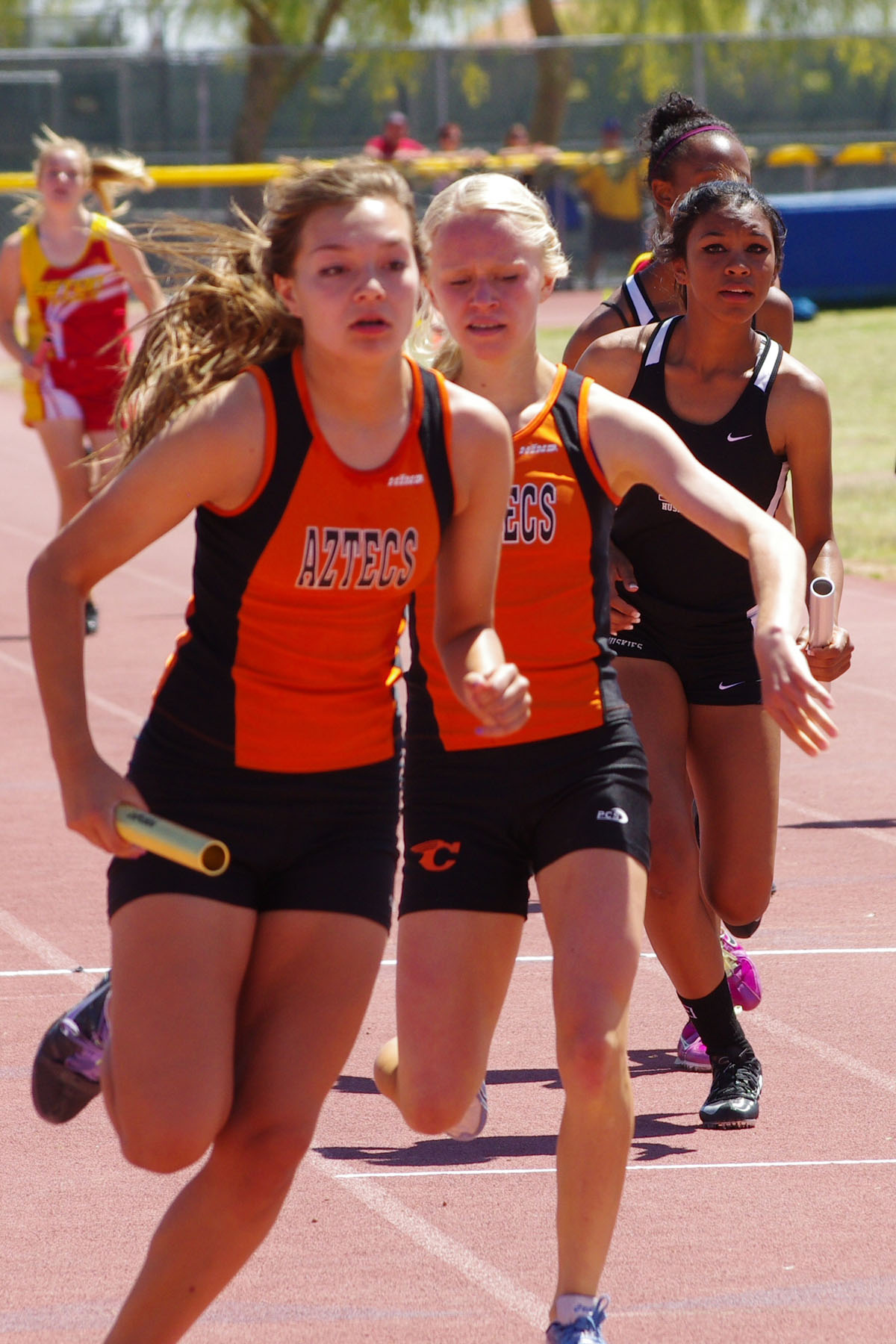 IMGP7938_C1.jpg