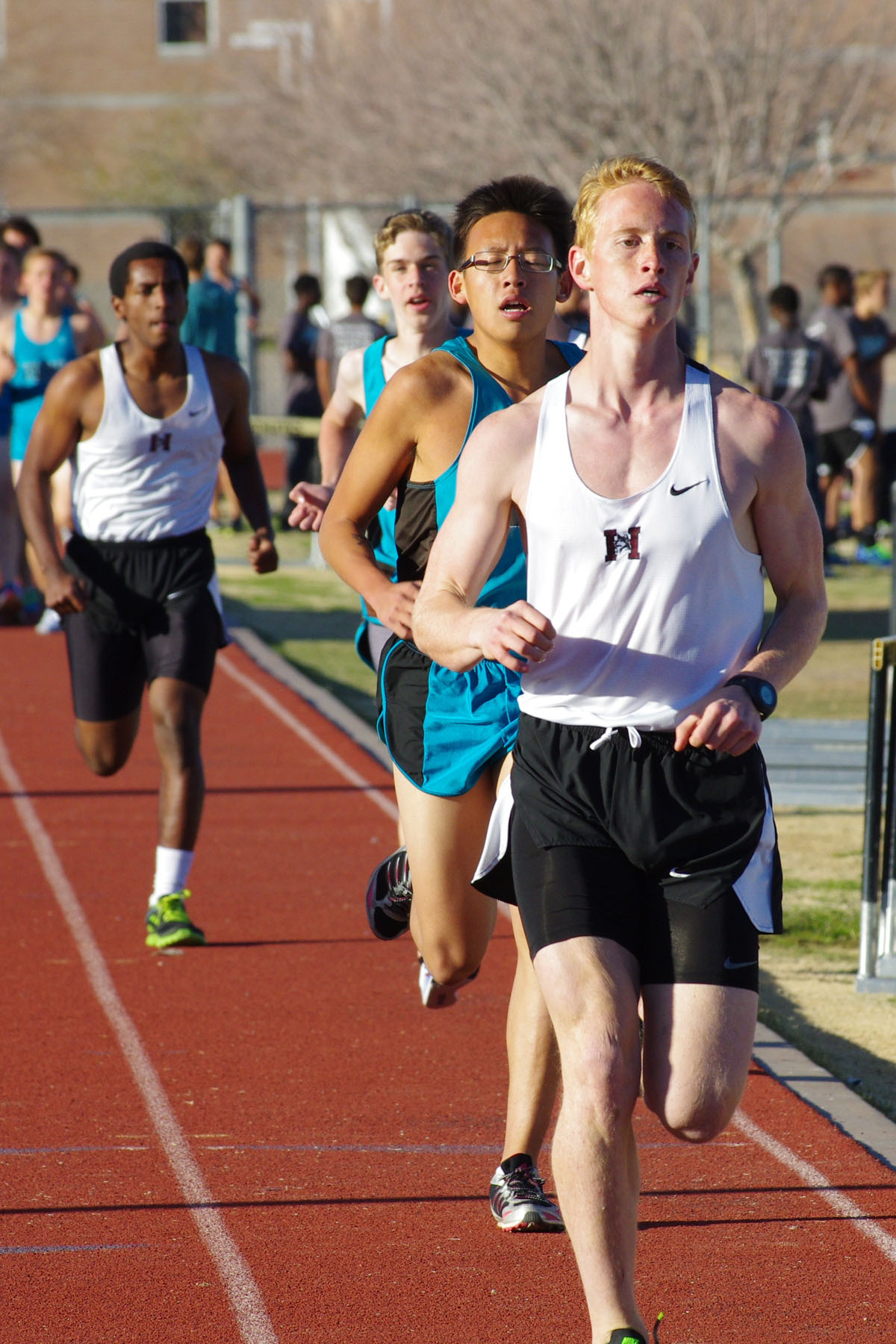 IMGP2737_C.jpg