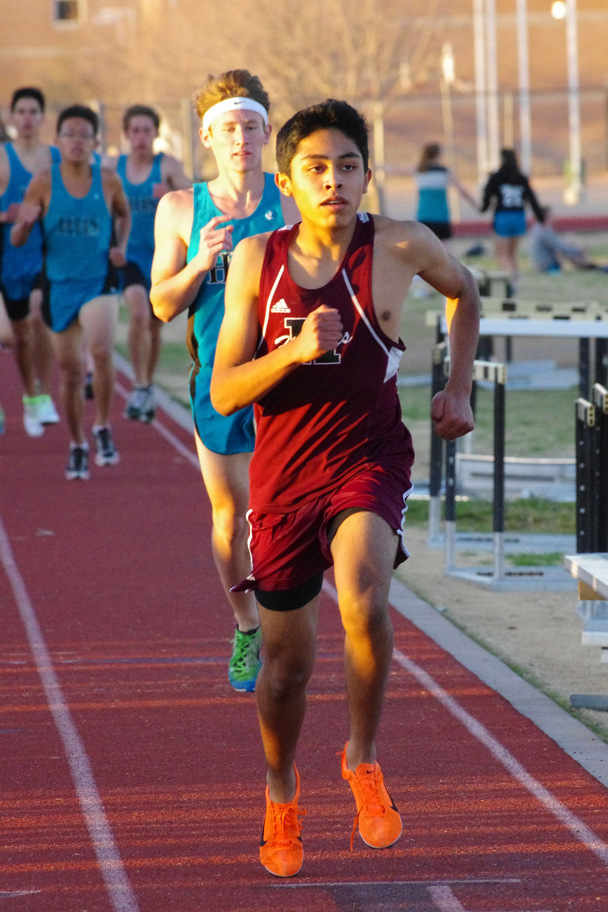 IMGP2963_C.jpg